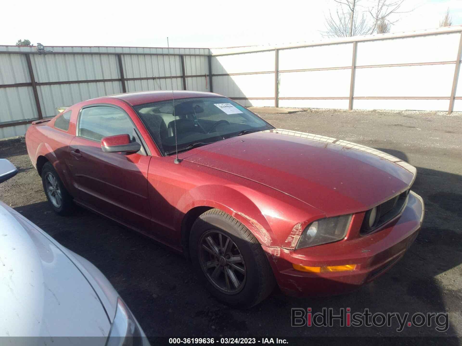 Photo 1ZVHT80N585108209 - FORD MUSTANG 2008
