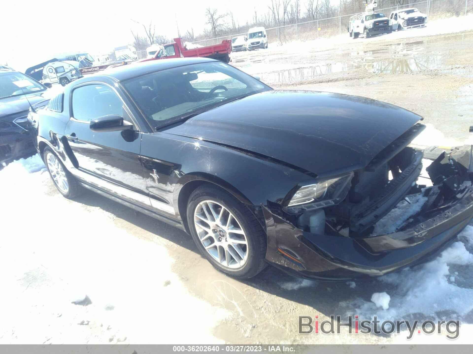 Photo 1ZVBP8AM9E5325824 - FORD MUSTANG 2014