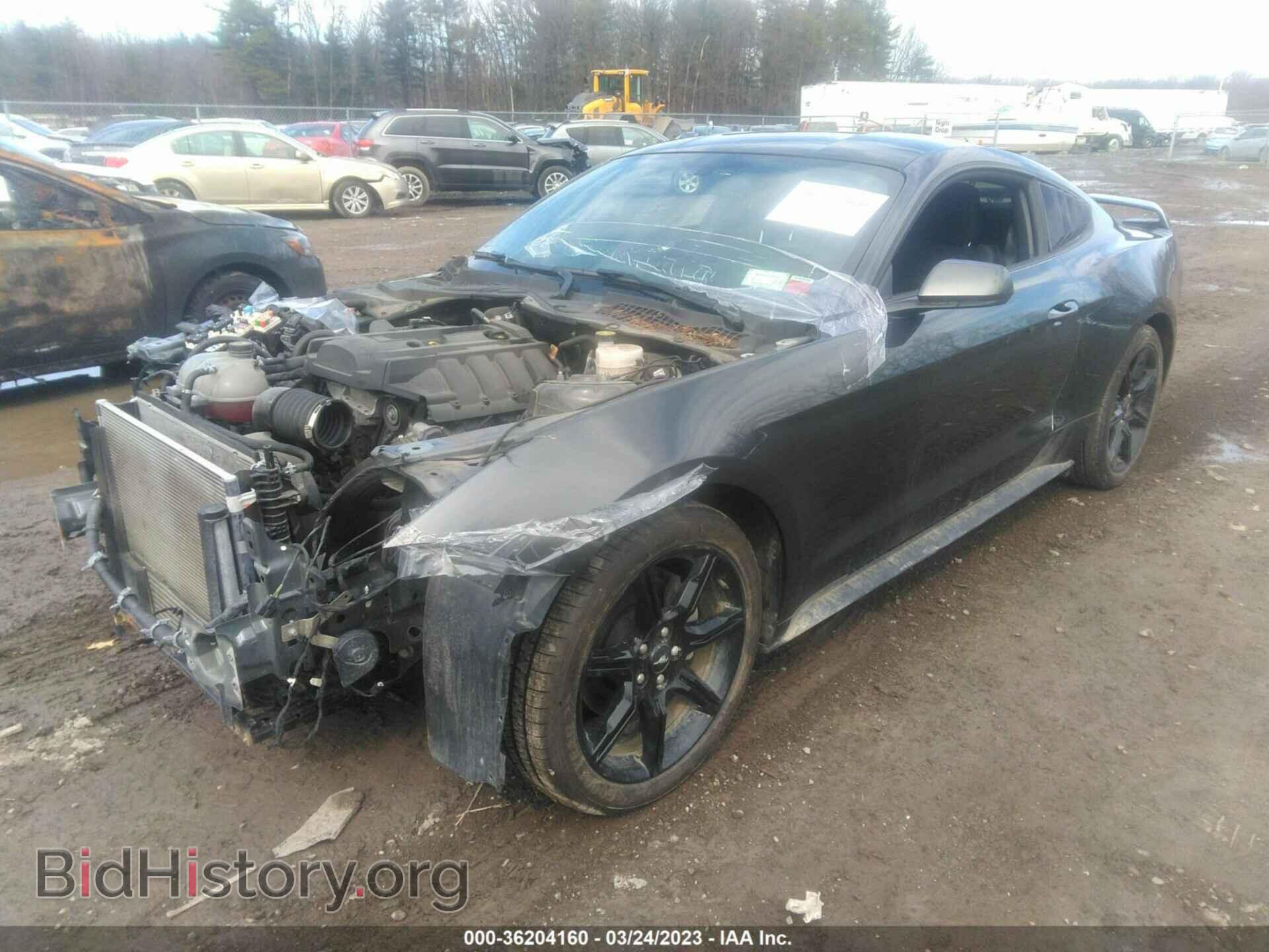 2019 FORD MUSTANG - VIN: 1FA6P8TH5K5190945 - Фото 2