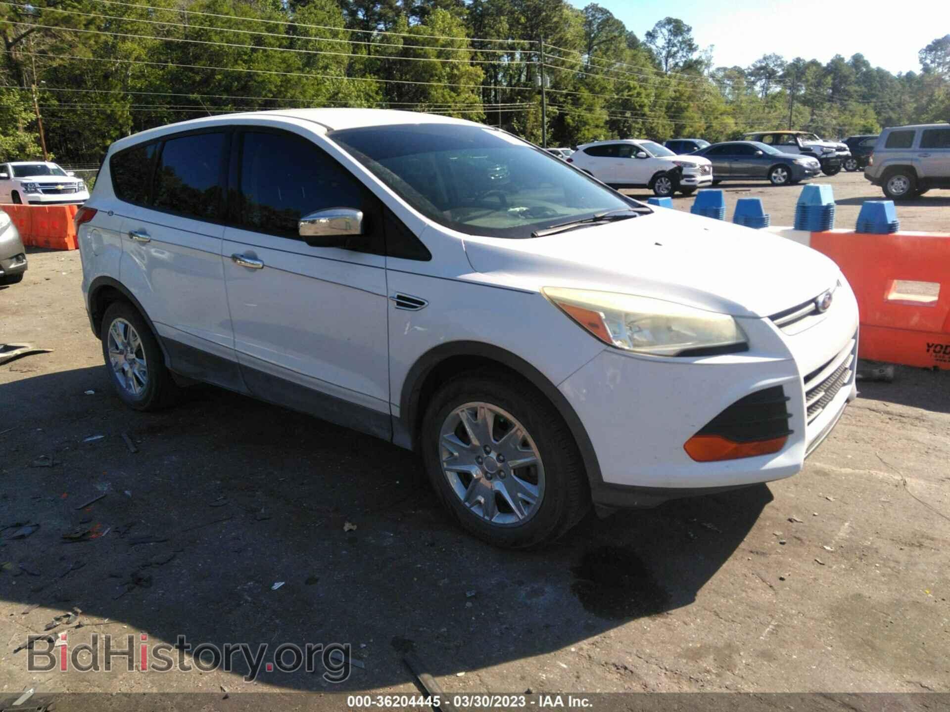 Photo 1FMCU0F71DUB01337 - FORD ESCAPE 2013