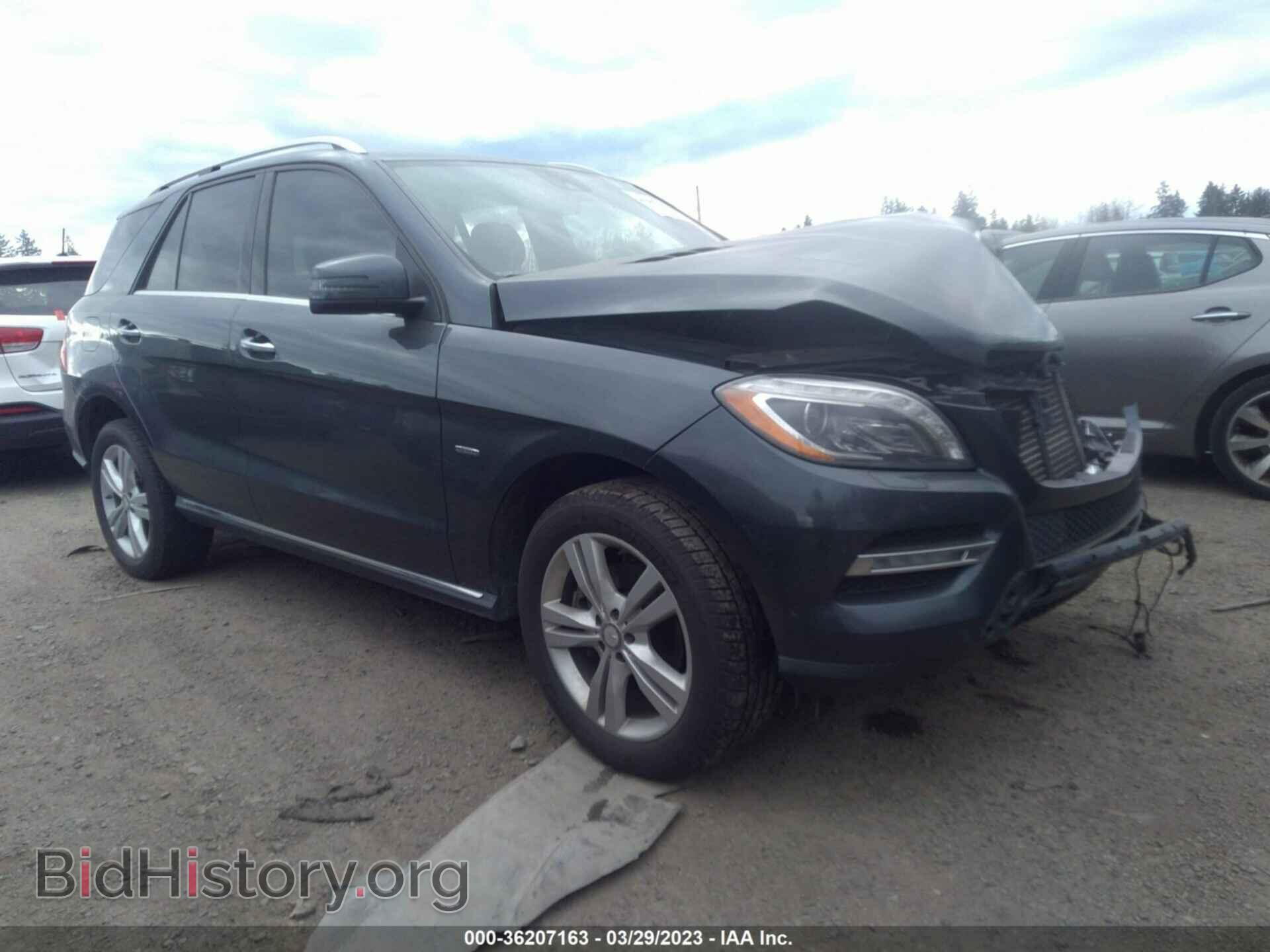 Photo 4JGDA2EB4CA054867 - MERCEDES-BENZ M-CLASS 2012