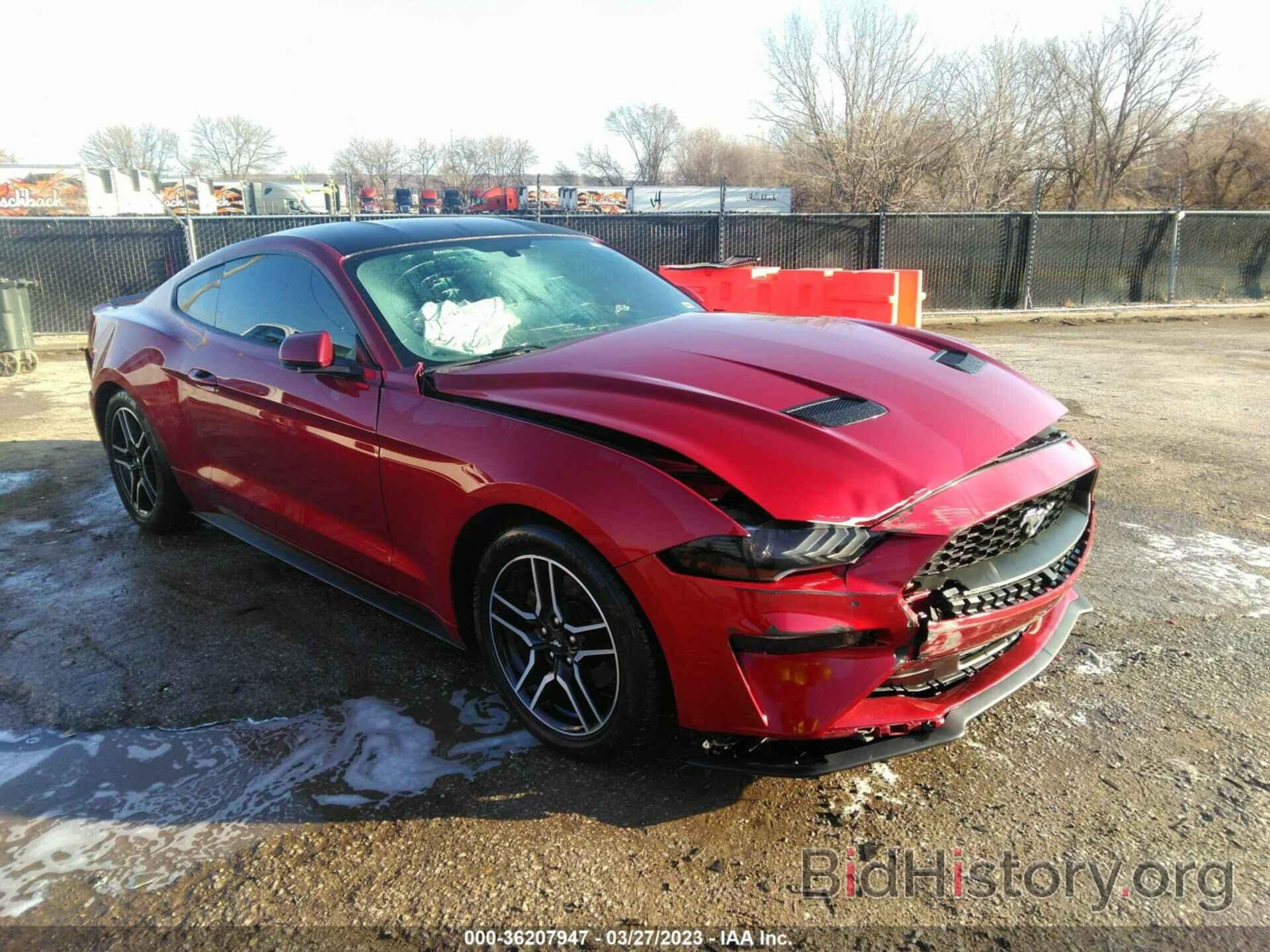Photo 1FA6P8TH9K5192844 - FORD MUSTANG 2019