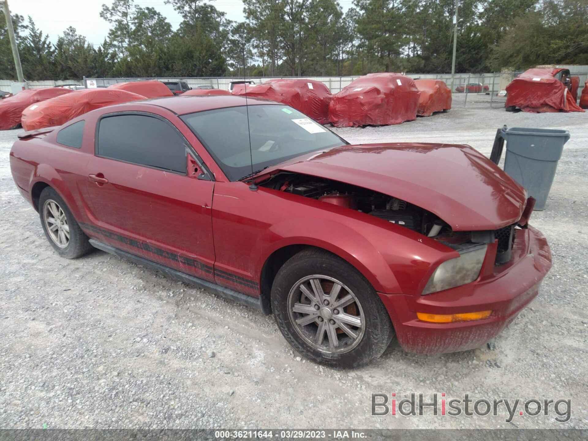 Photo 1ZVHT80N585180155 - FORD MUSTANG 2008