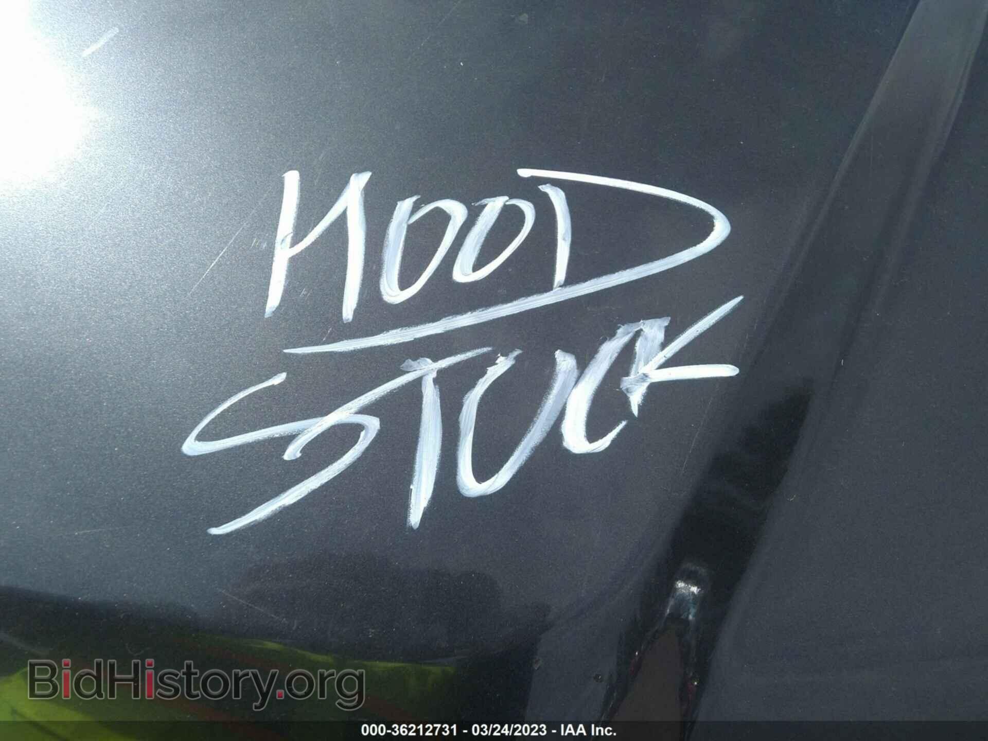 2009 FORD ESCAPE - VIN: 1FMCU03G79KA98161 - Фото 10