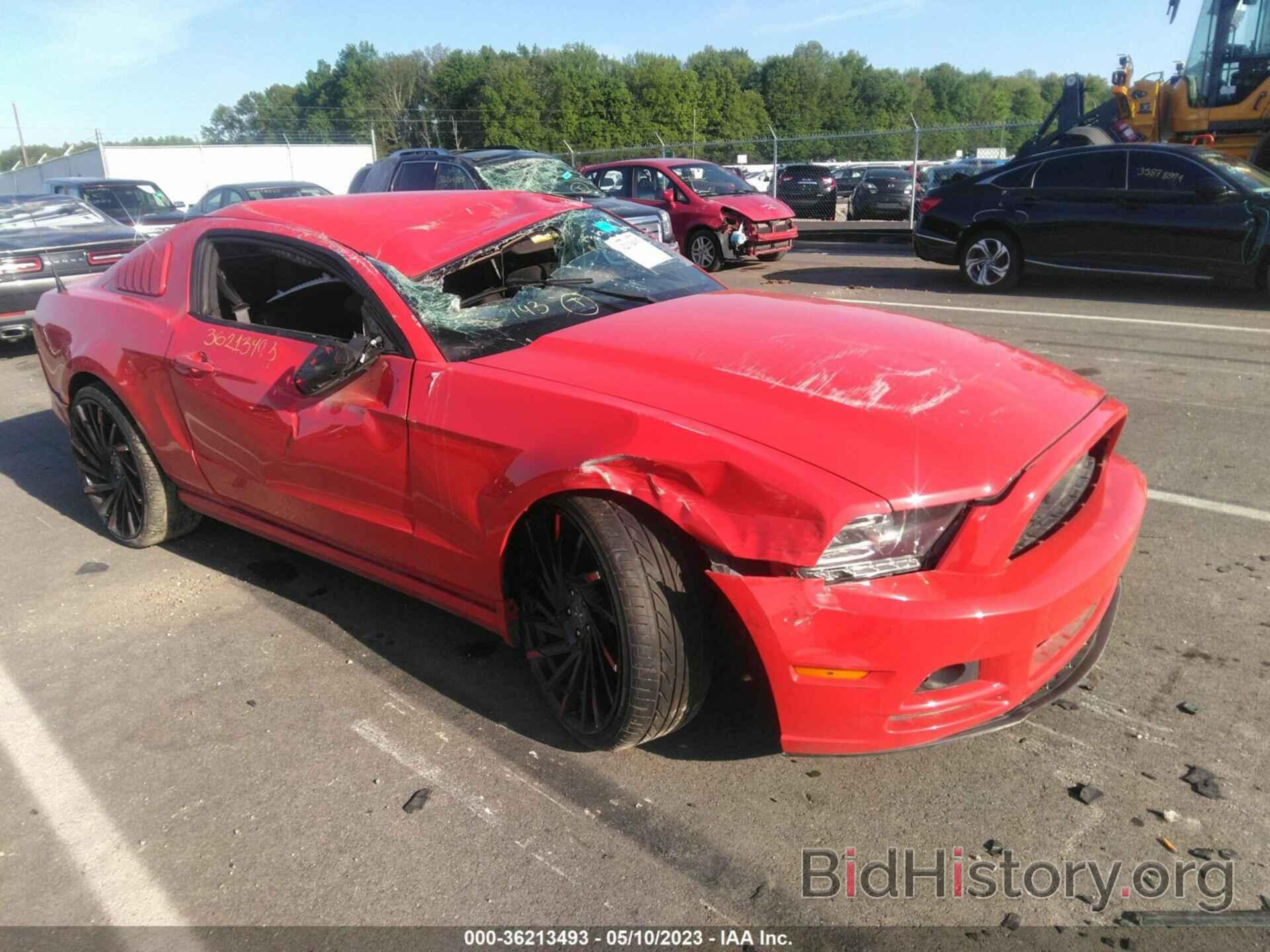 Photo 1ZVBP8AM8D5265632 - FORD MUSTANG 2013