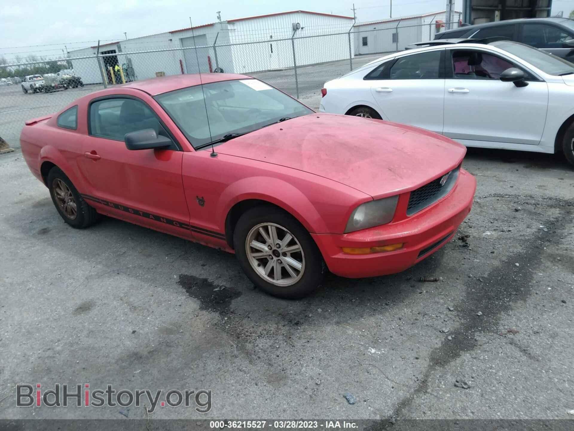 Photo 1ZVHT80N495127027 - FORD MUSTANG 2009
