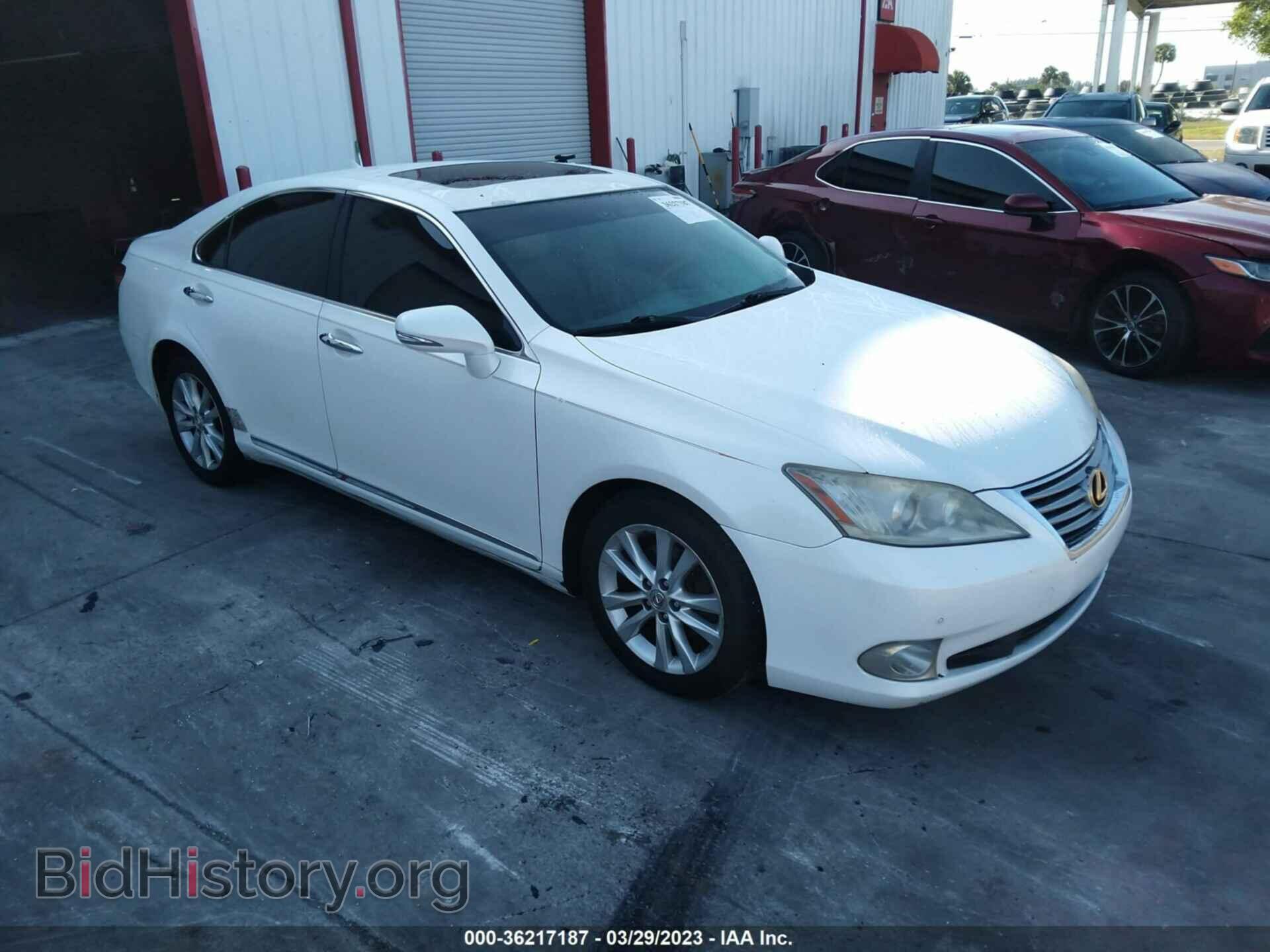 Фотография JTHBK1EG2A2381188 - LEXUS ES 350 2010
