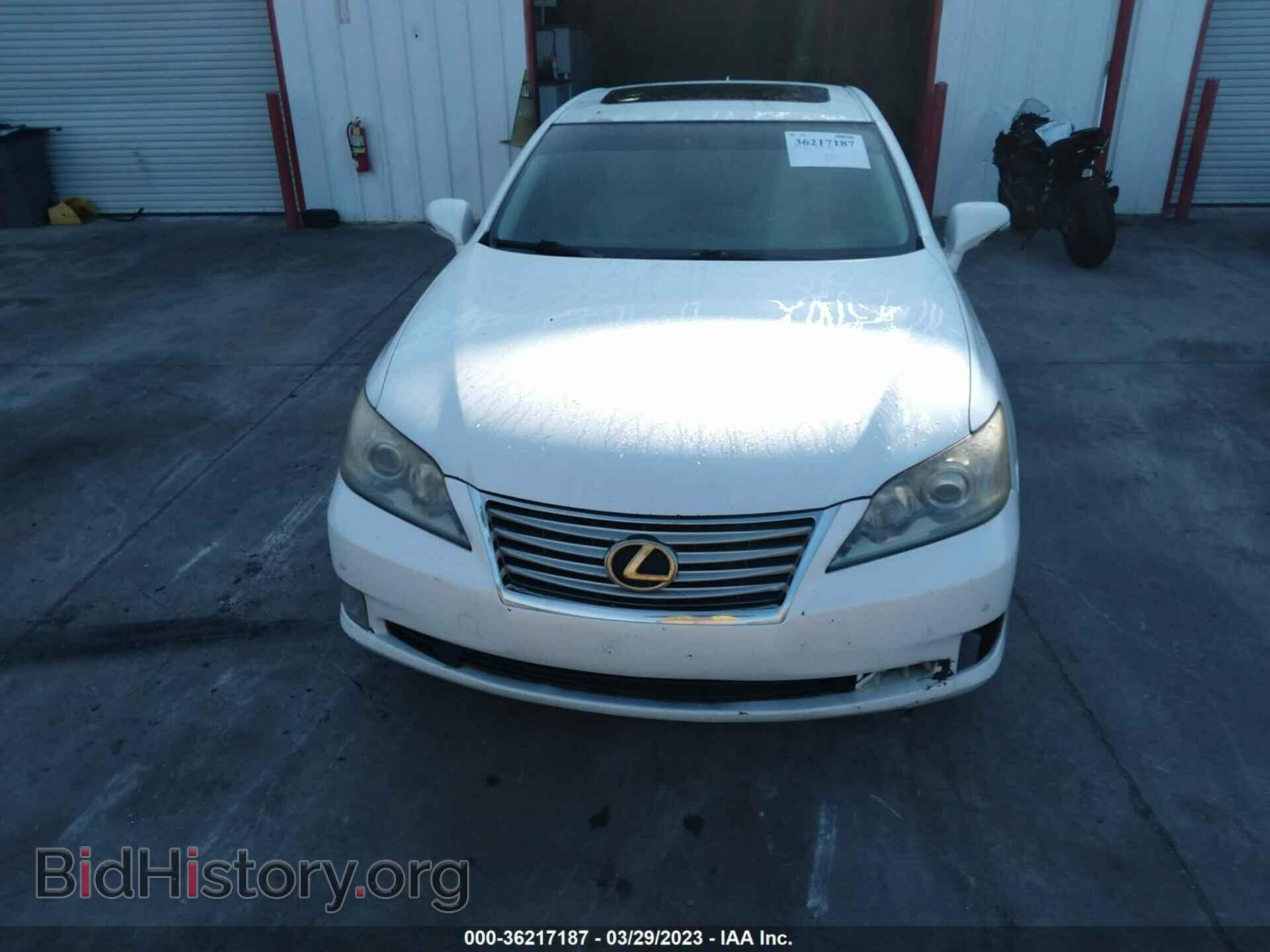2010 LEXUS ES 350 - VIN: JTHBK1EG2A2381188 - Фото 6