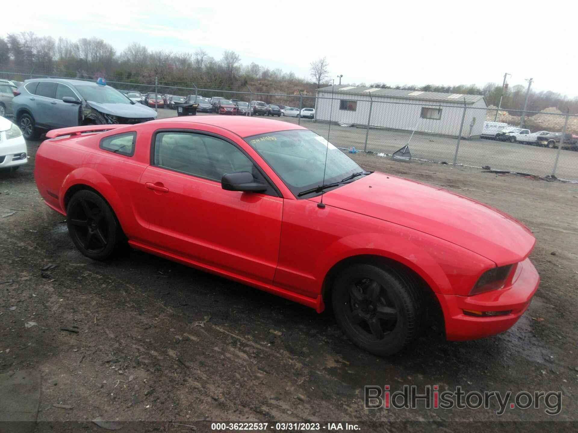 Photo 1ZVFT82H665157401 - FORD MUSTANG 2006