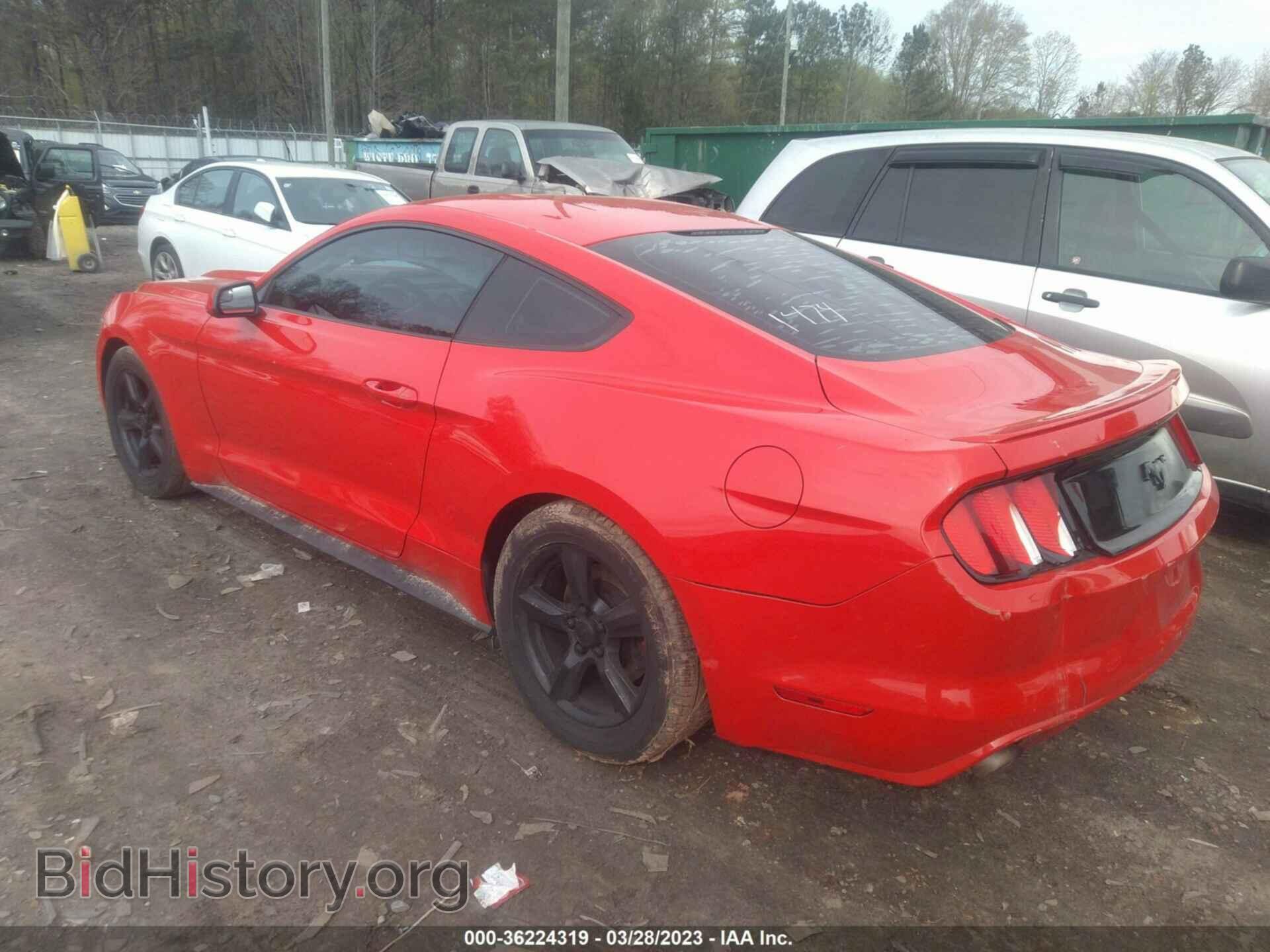 2015 FORD MUSTANG - VIN: 1FA6P8TH8F5381474 - Фото 3