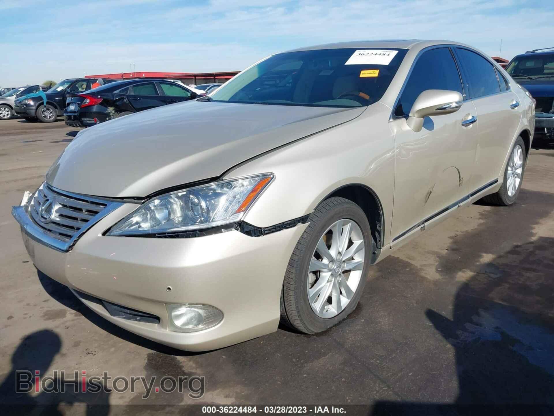 2010 LEXUS ES 350 - VIN: JTHBK1EG1A2342723 - Фото 2
