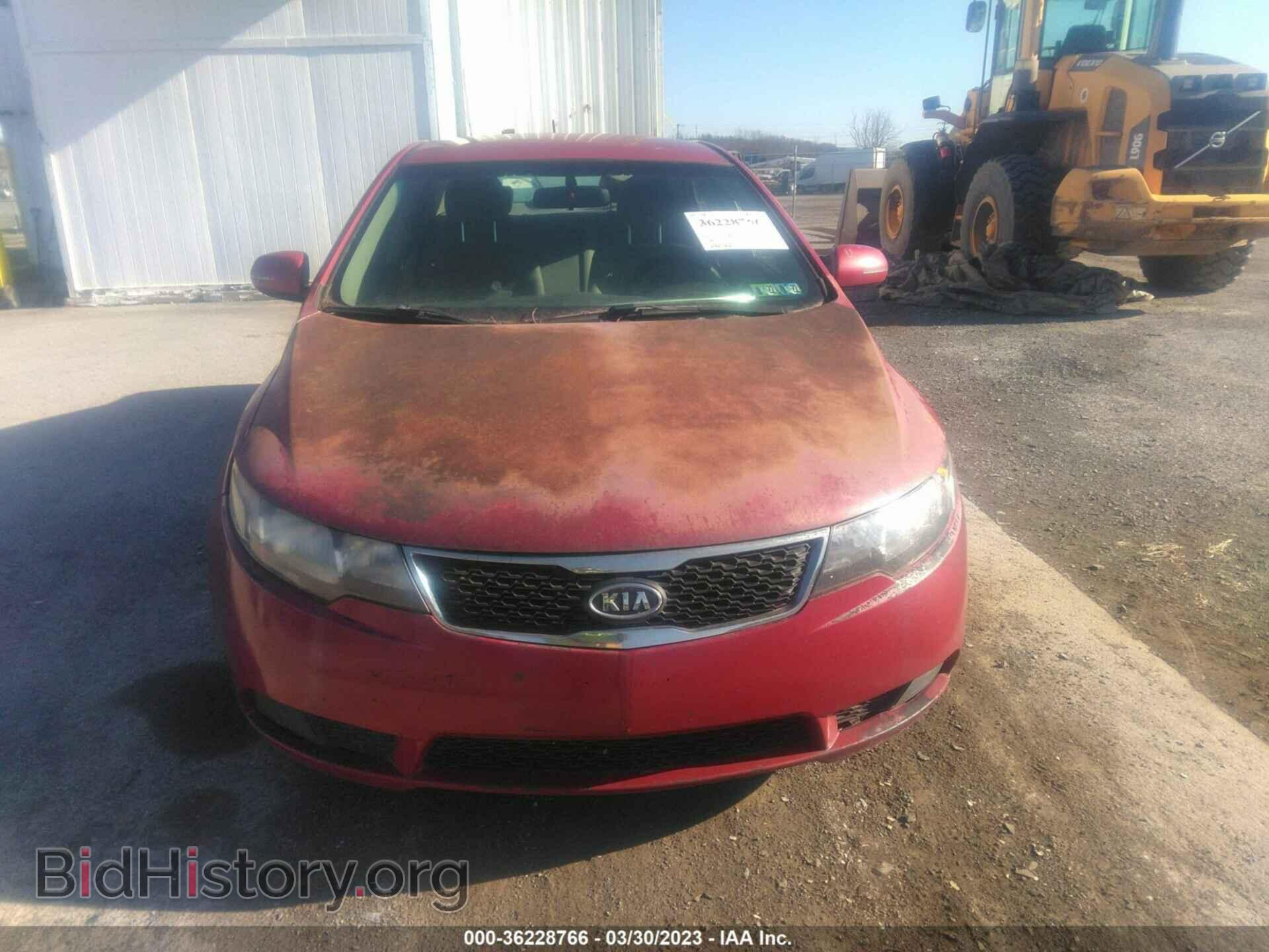 2013 KIA FORTE - VIN: KNAFU4A22D5737115 - Фото 6