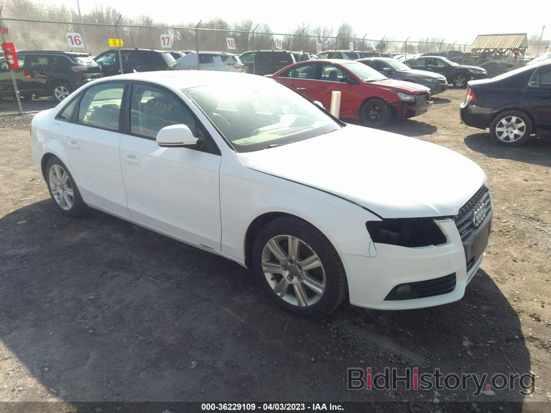 Photo WAULF78K39N077081 - AUDI A4 2009