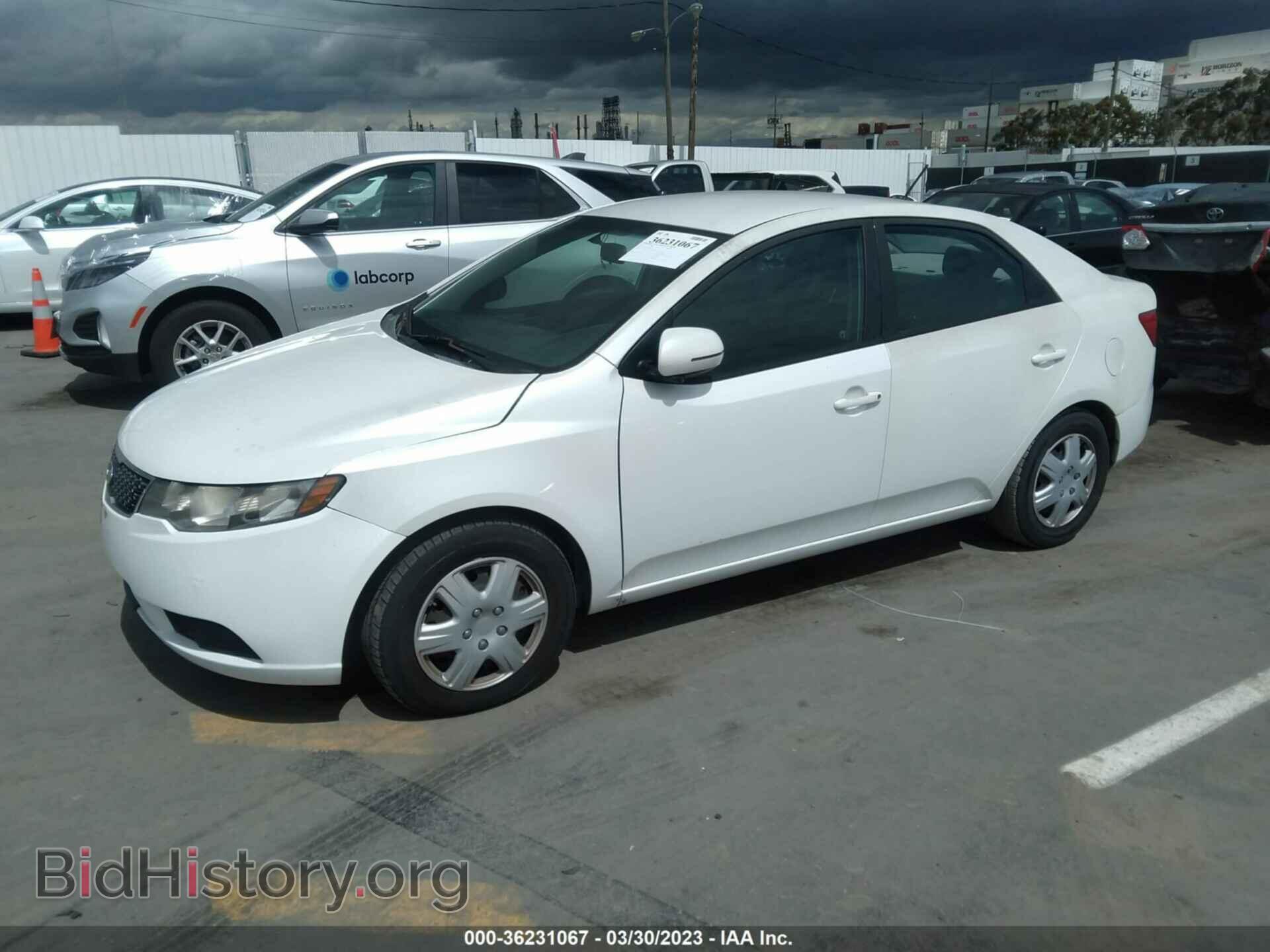 2011 KIA FORTE - VIN: KNAFU4A21B5347572 - Фото 2