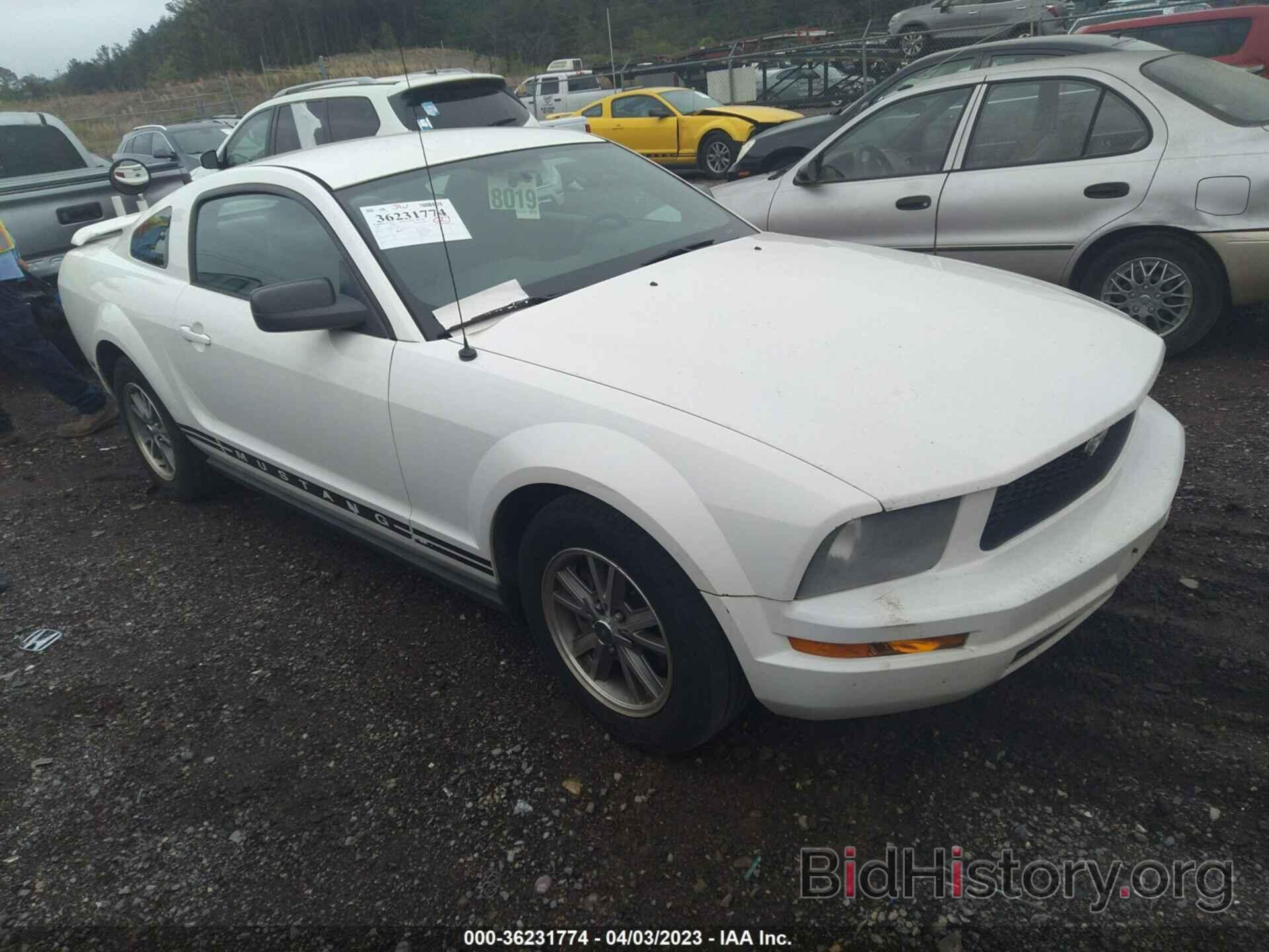 Photo 1ZVFT80N965220497 - FORD MUSTANG 2006
