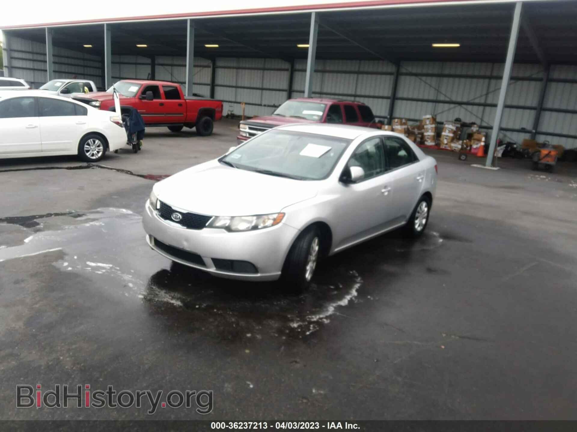 2013 KIA FORTE - VIN: KNAFU4A25D5729901 - Фото 2