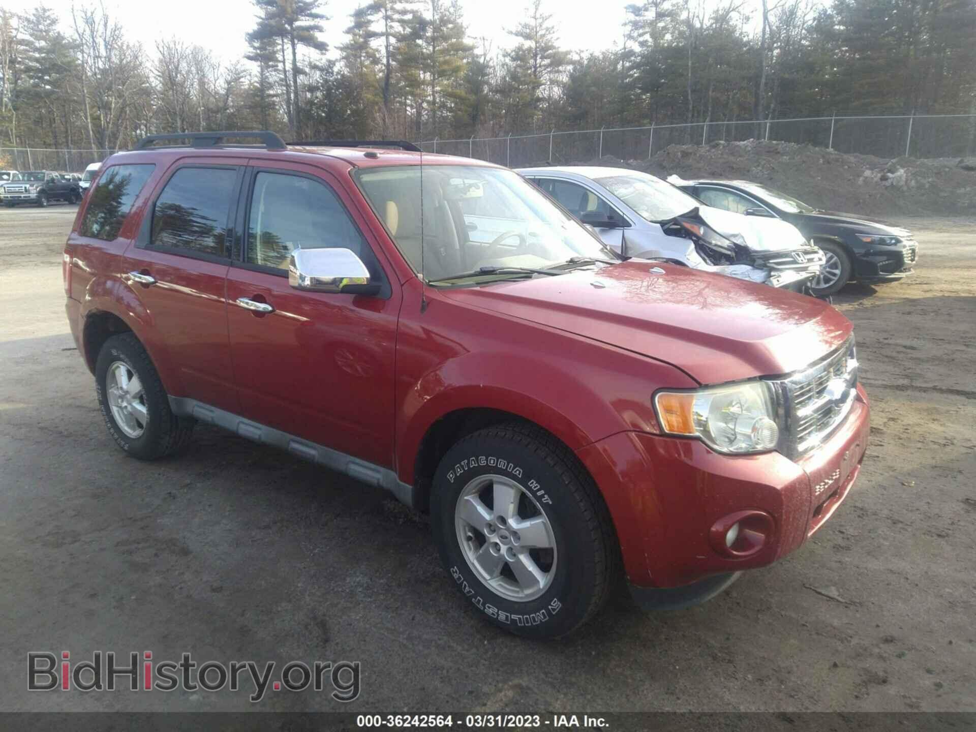 Фотография 1FMCU93G59KC50233 - FORD ESCAPE 2009