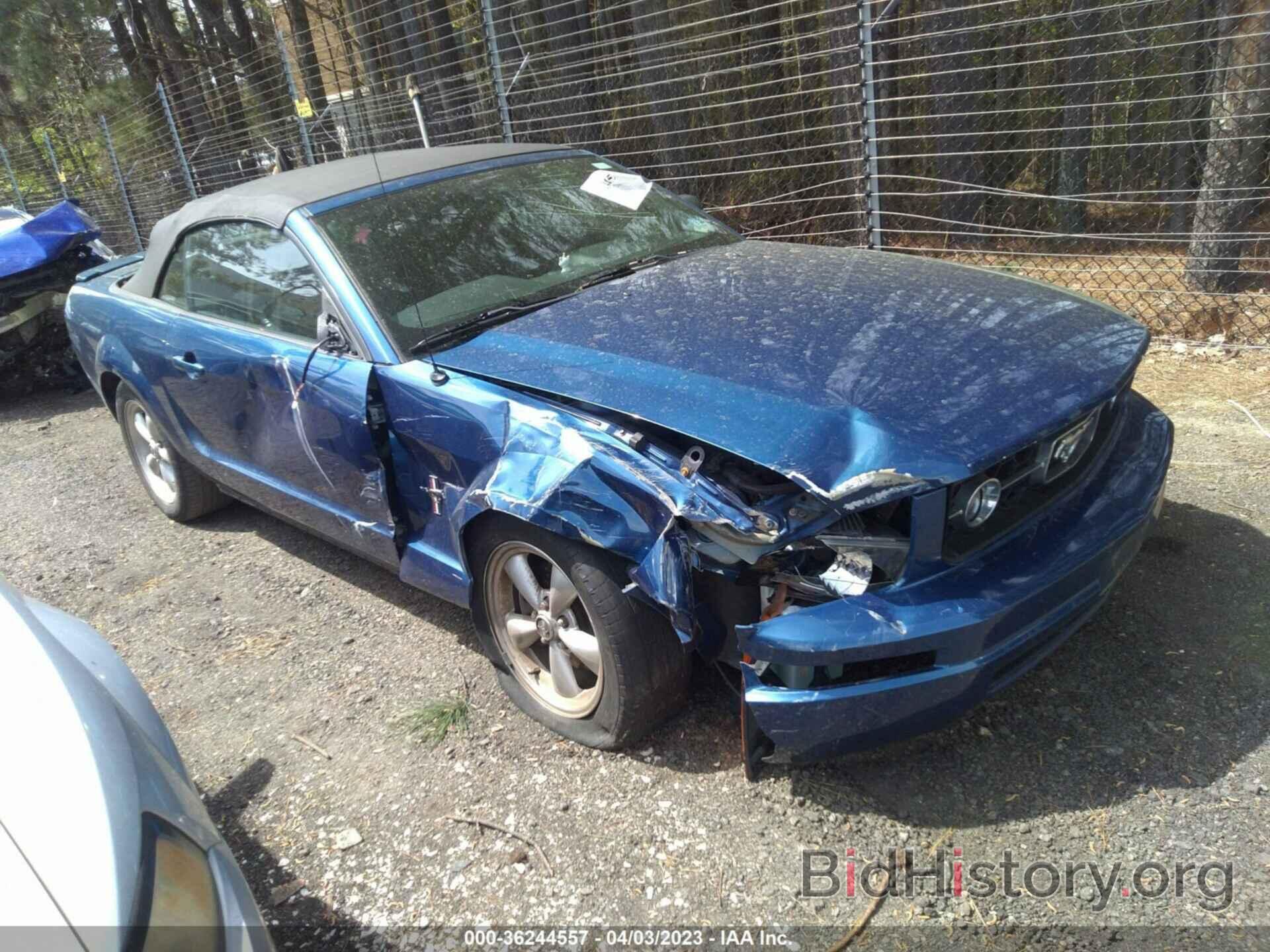 Photo 1ZVFT84N175212759 - FORD MUSTANG 2007