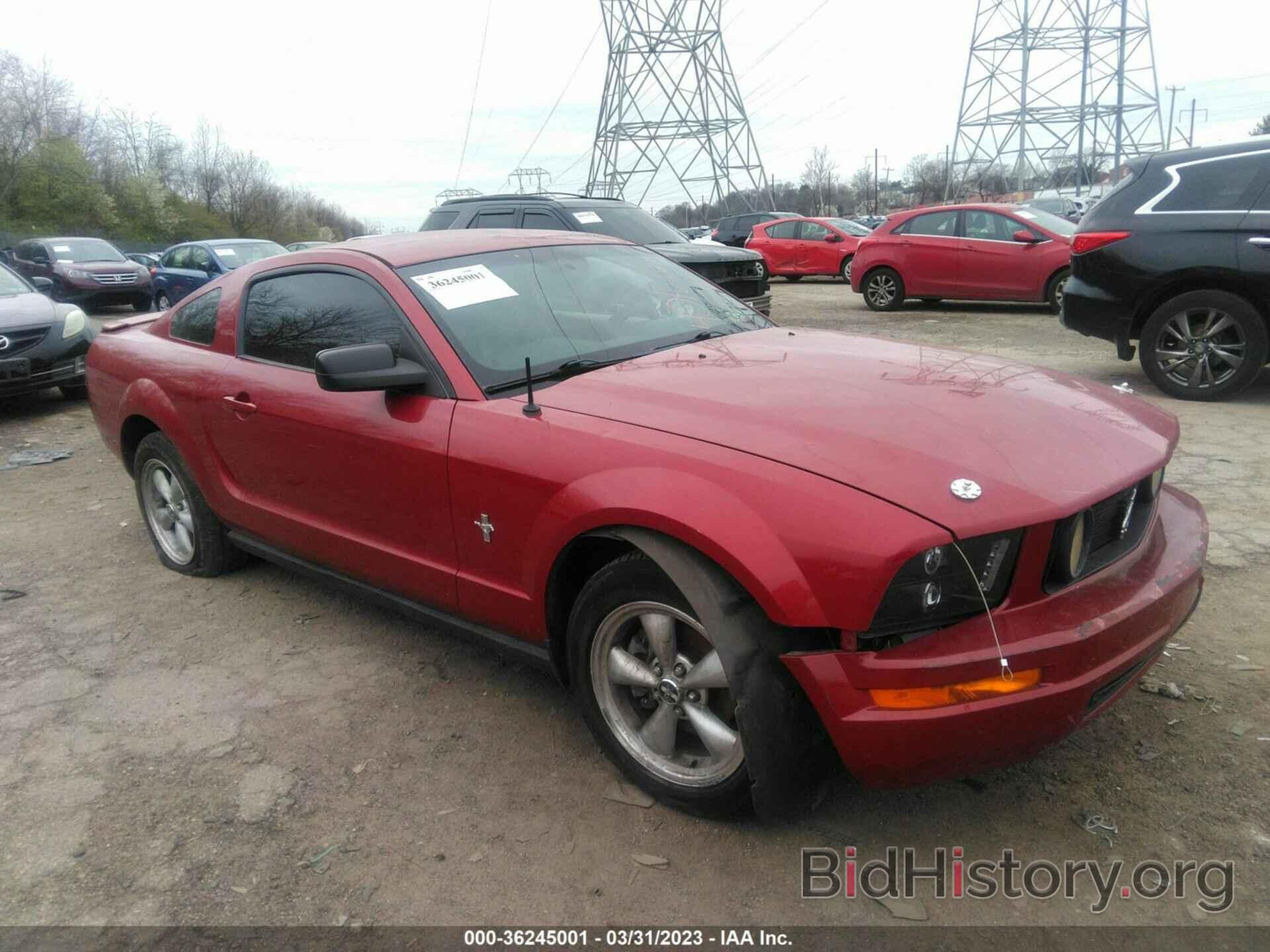 Photo 1ZVHT80N985123232 - FORD MUSTANG 2008