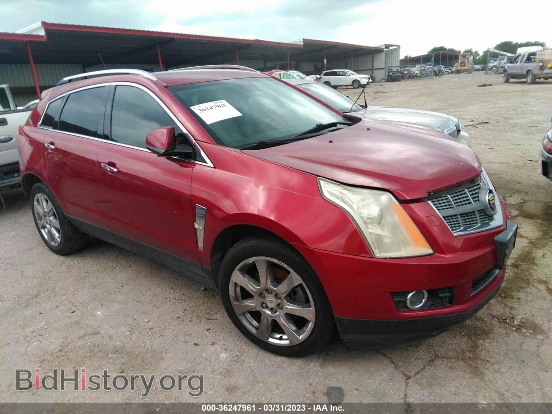 Фотография 3GYFNCE34CS527997 - CADILLAC SRX 2012