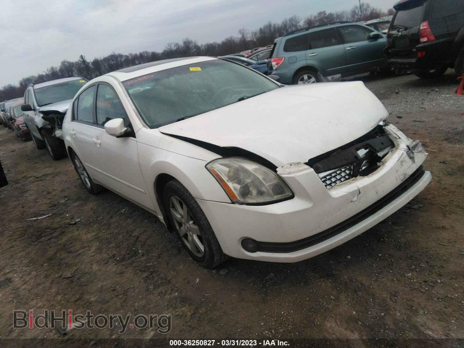 Фотография 1N4BA41E76C864273 - NISSAN MAXIMA 2006