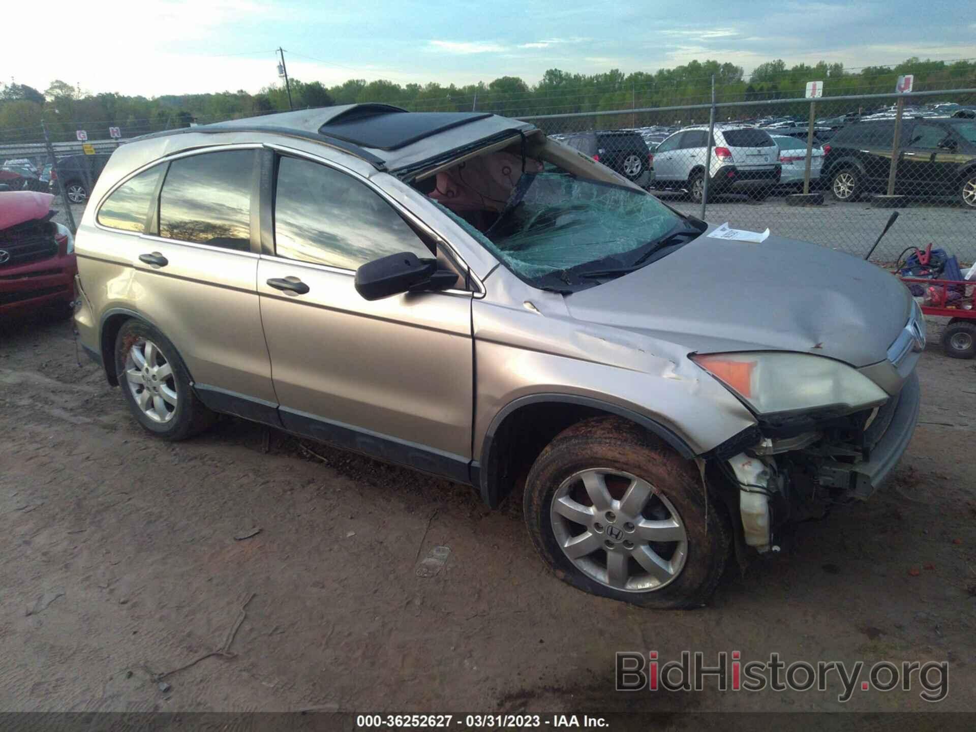 Photo JHLRE38528C040507 - HONDA CR-V 2008