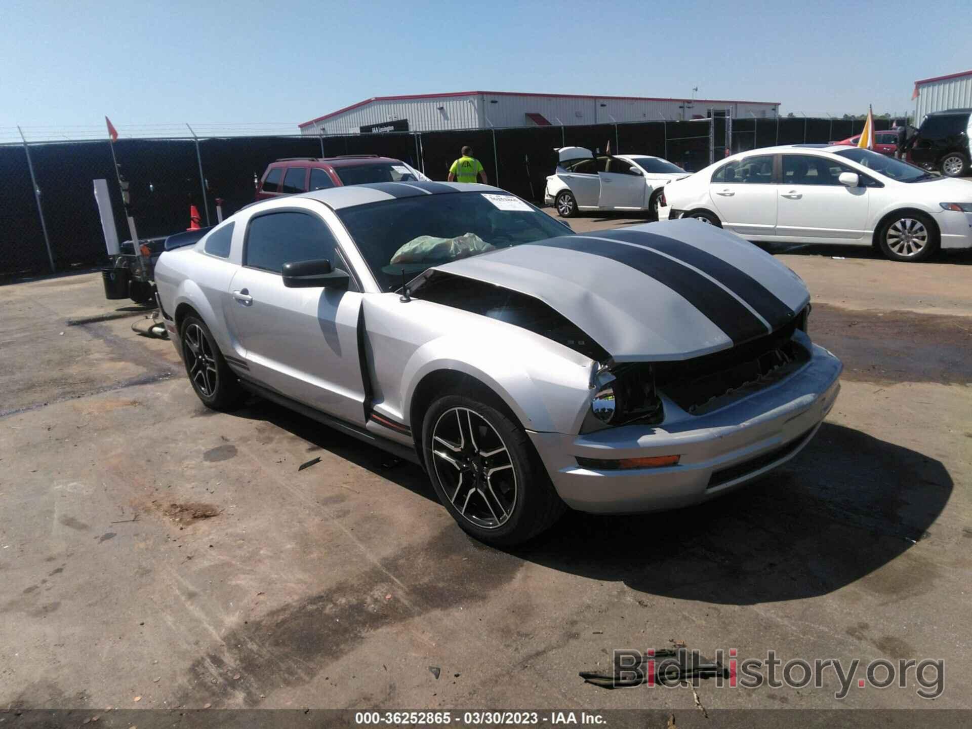 Photo 1ZVHT80N685105769 - FORD MUSTANG 2008
