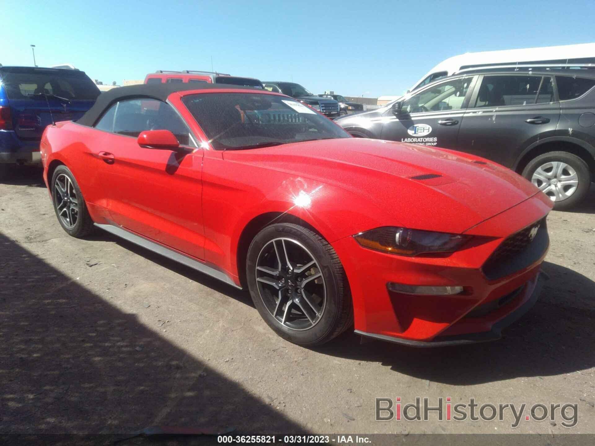 Photo 1FATP8UH7M5116320 - FORD MUSTANG 2021