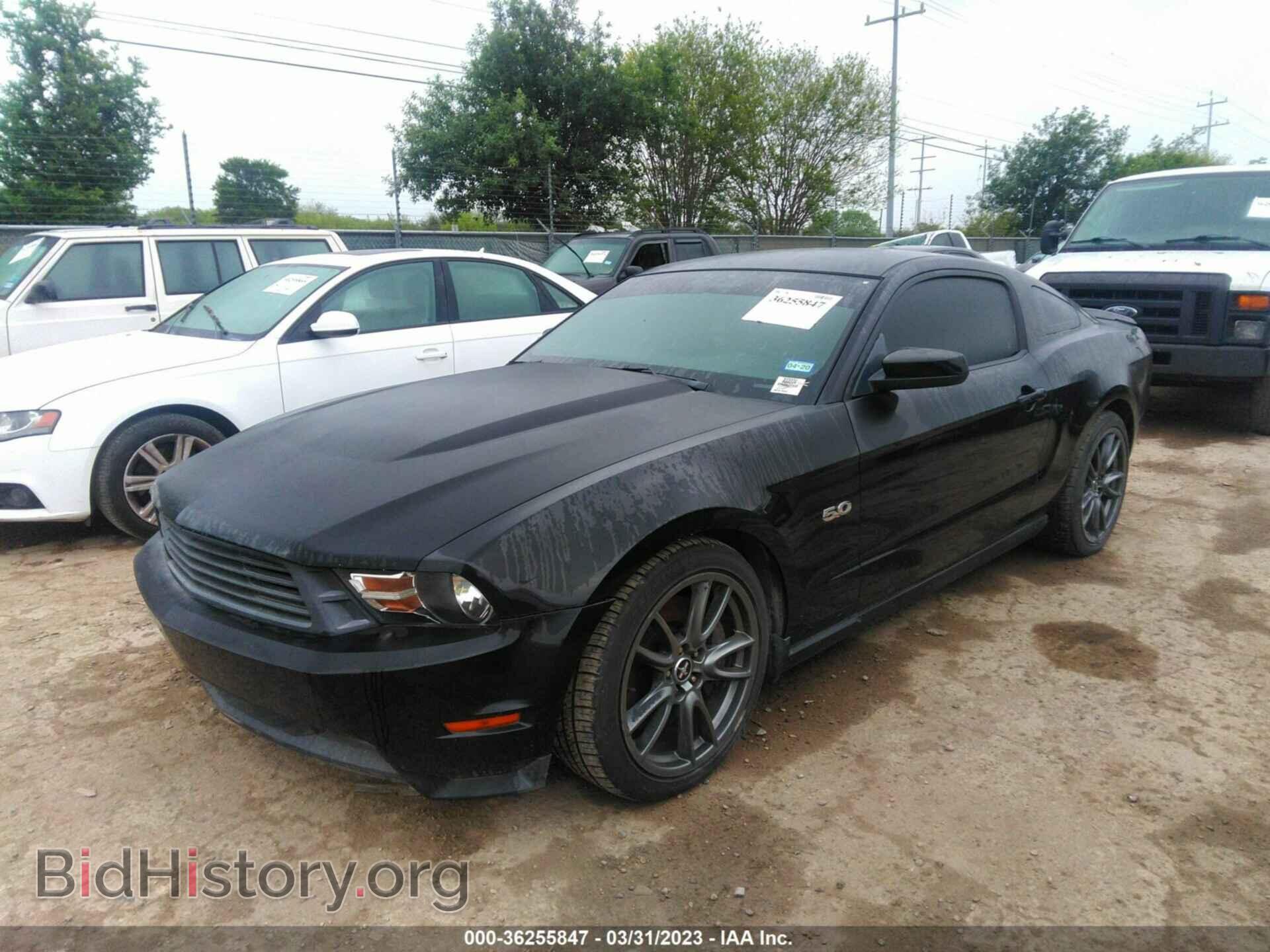 2011 FORD MUSTANG - VIN: 1ZVBP8CF4B5168701 - Фото 2