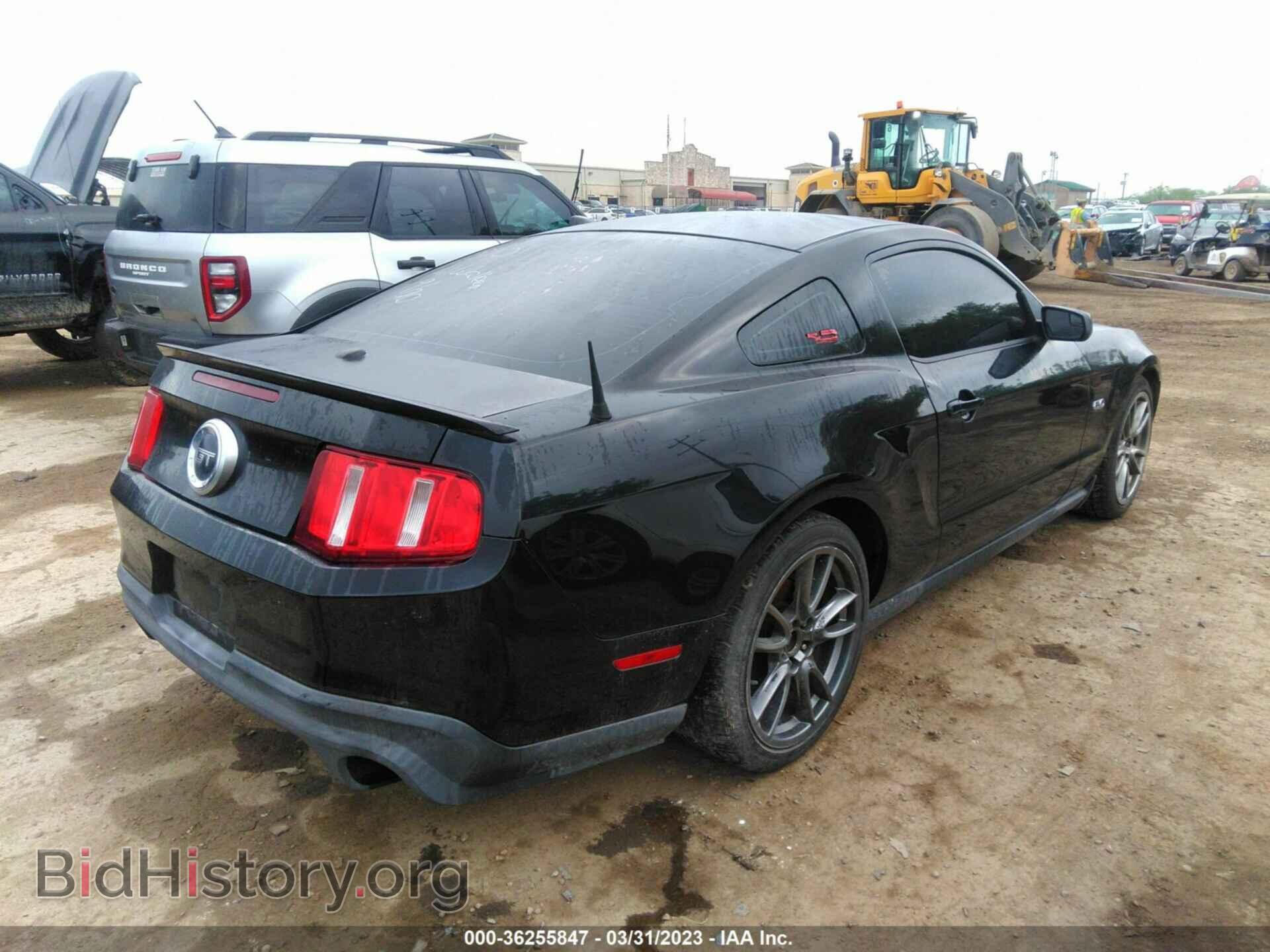 2011 FORD MUSTANG - VIN: 1ZVBP8CF4B5168701 - Фото 4