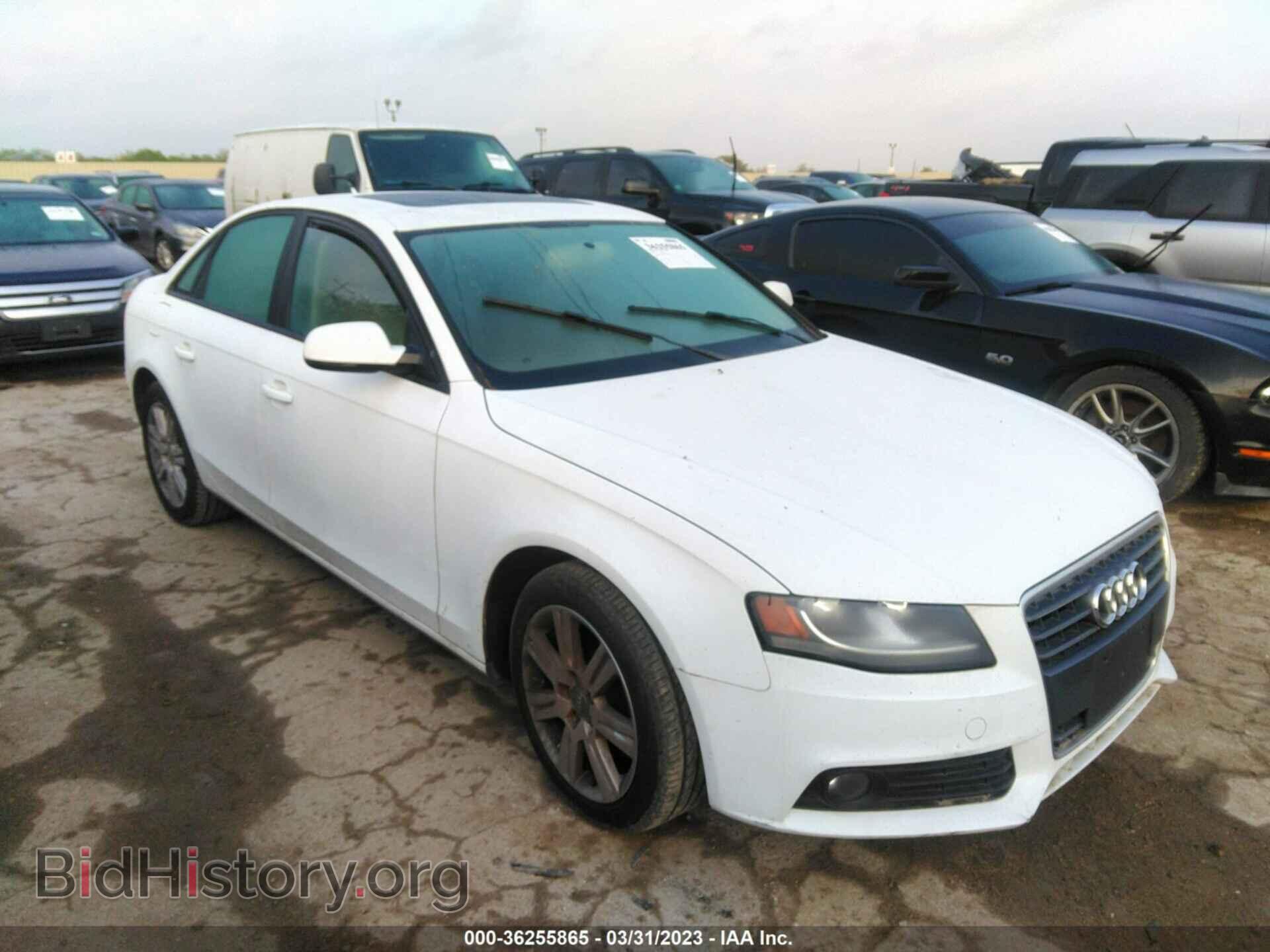Photo WAUAFAFLXAN036533 - AUDI A4 2010