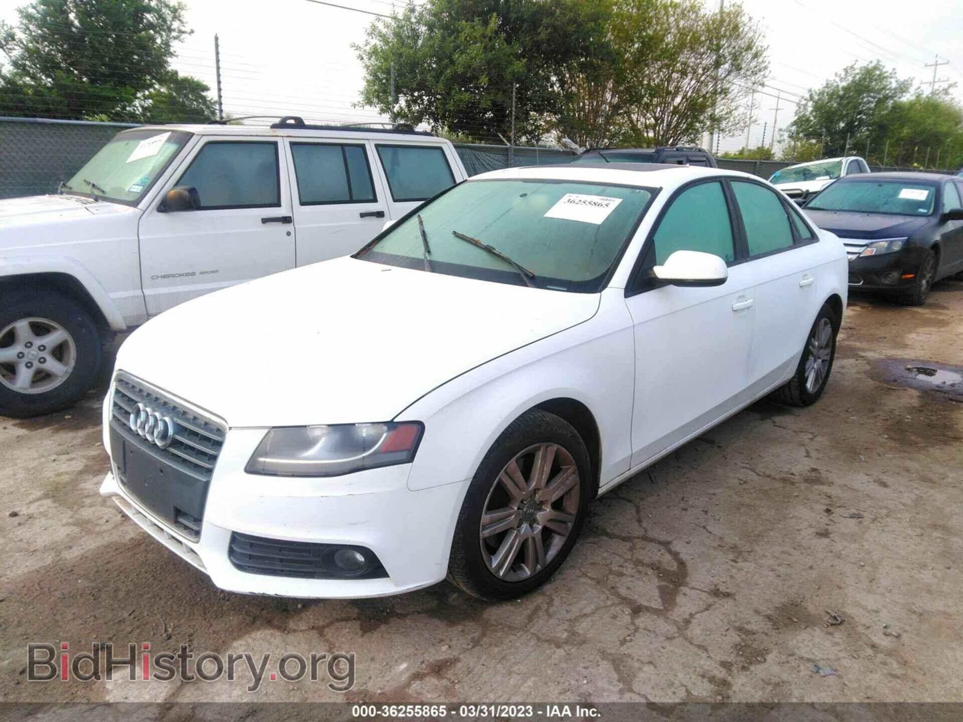 2010 AUDI A4 - VIN: WAUAFAFLXAN036533 - Фото 2