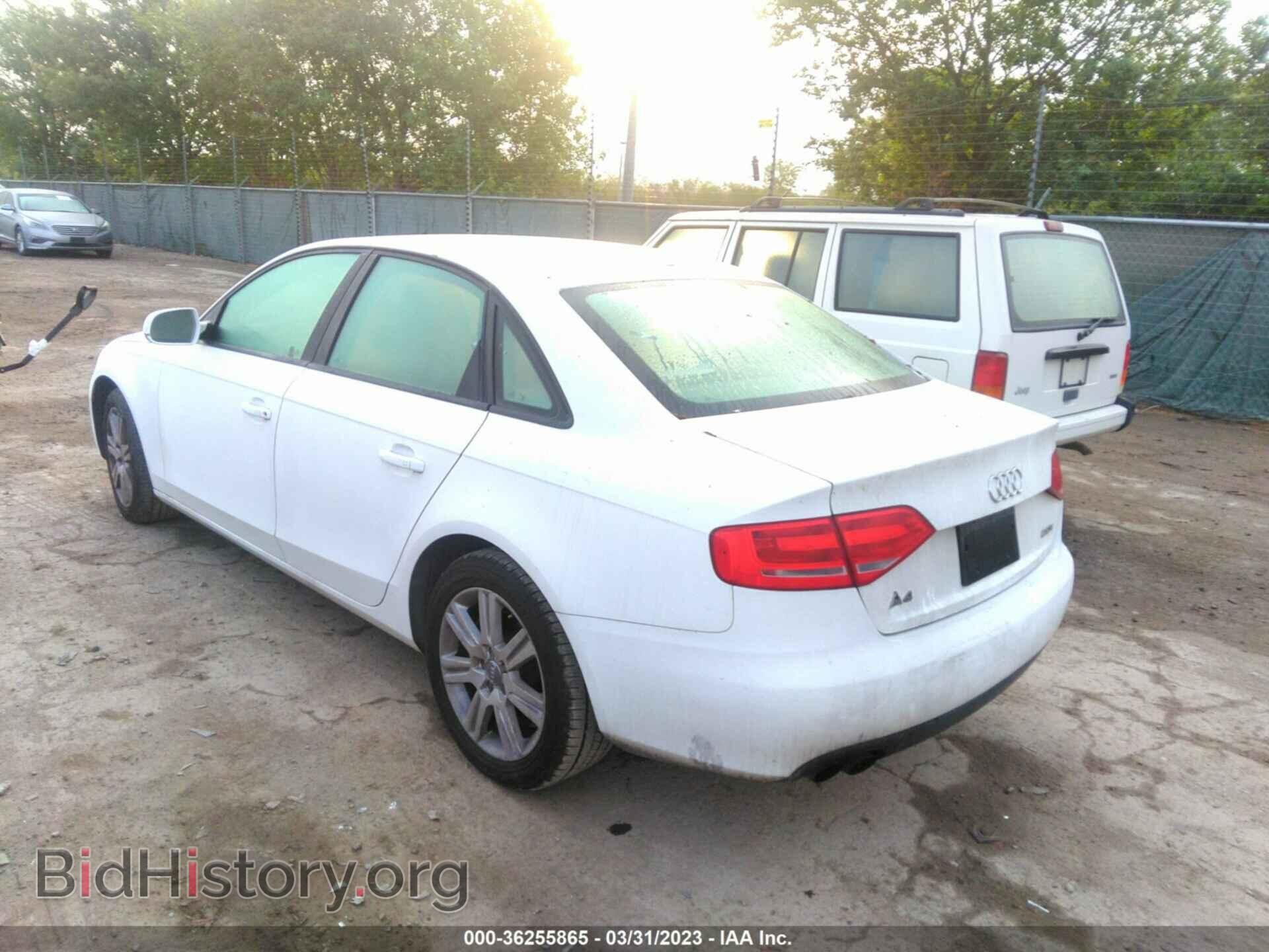 2010 AUDI A4 - VIN: WAUAFAFLXAN036533 - Фото 3