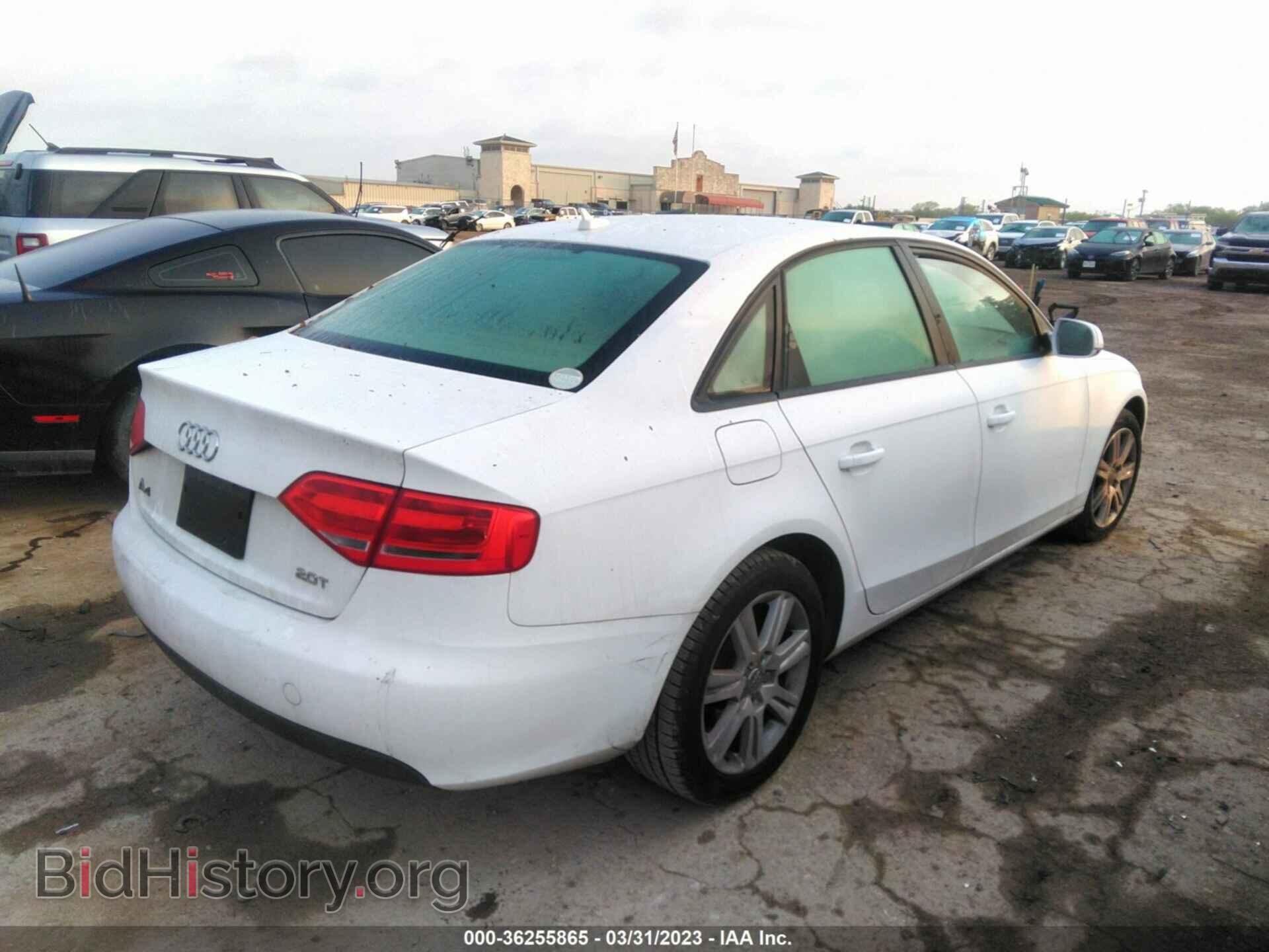 2010 AUDI A4 - VIN: WAUAFAFLXAN036533 - Фото 4