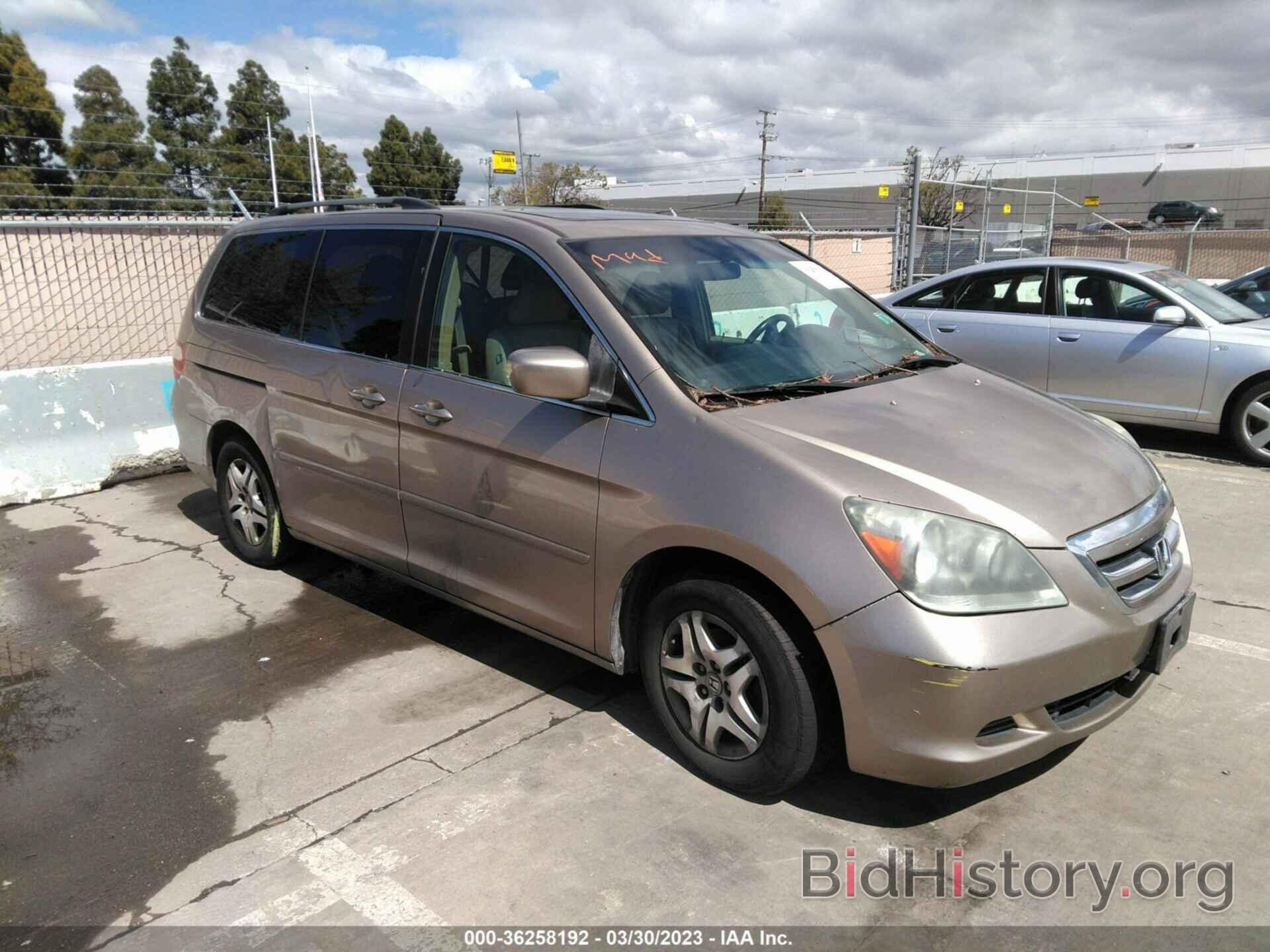 Photo 5FNRL38656B411705 - HONDA ODYSSEY 2006