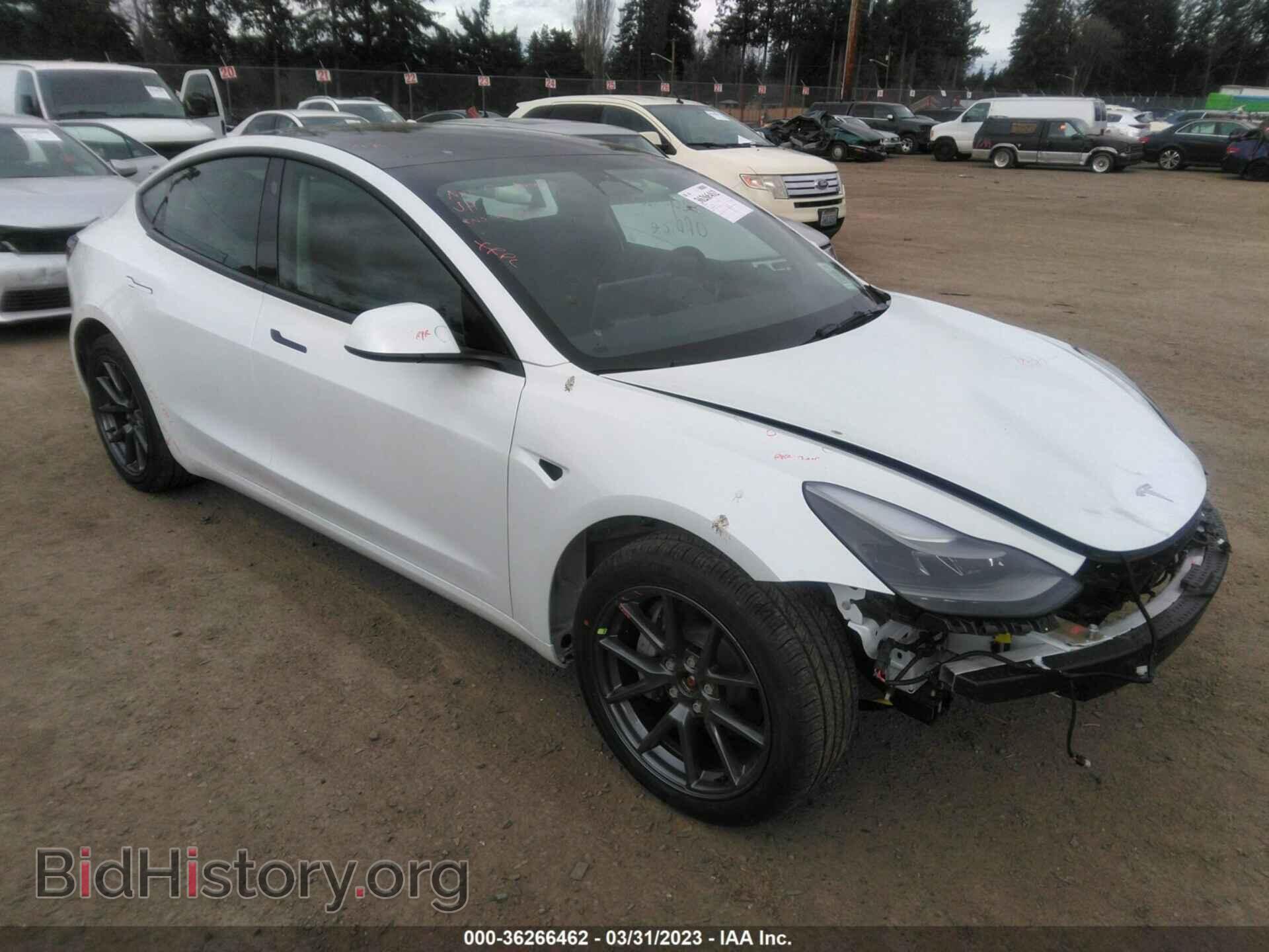 Фотография 5YJ3E1EB2PF416514 - TESLA MODEL 3 2023