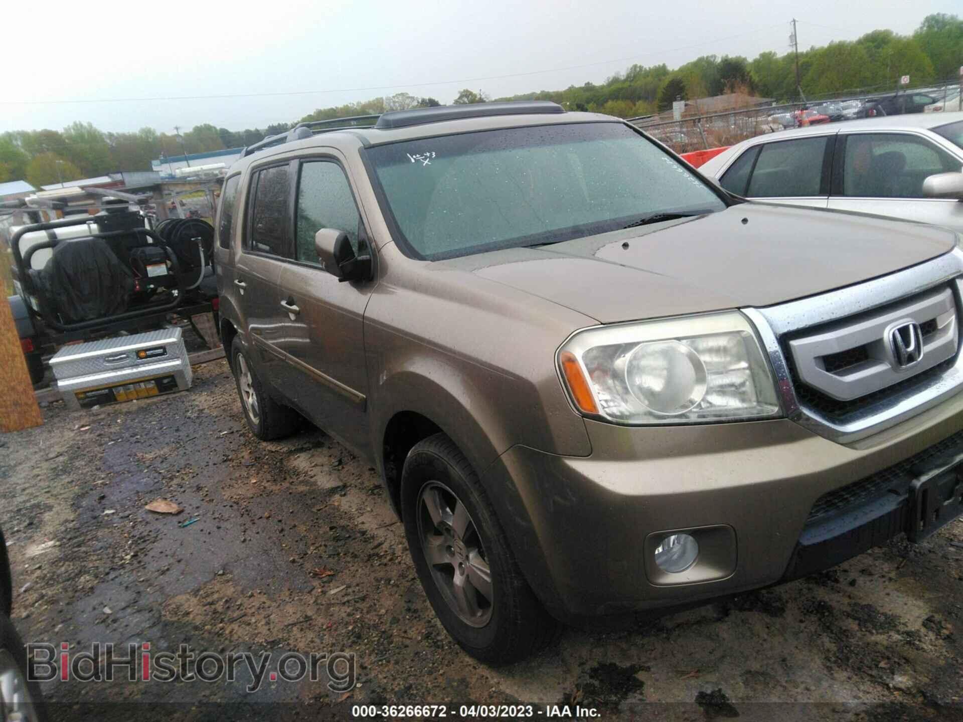 Фотография 5FNYF3H59BB058258 - HONDA PILOT 2011