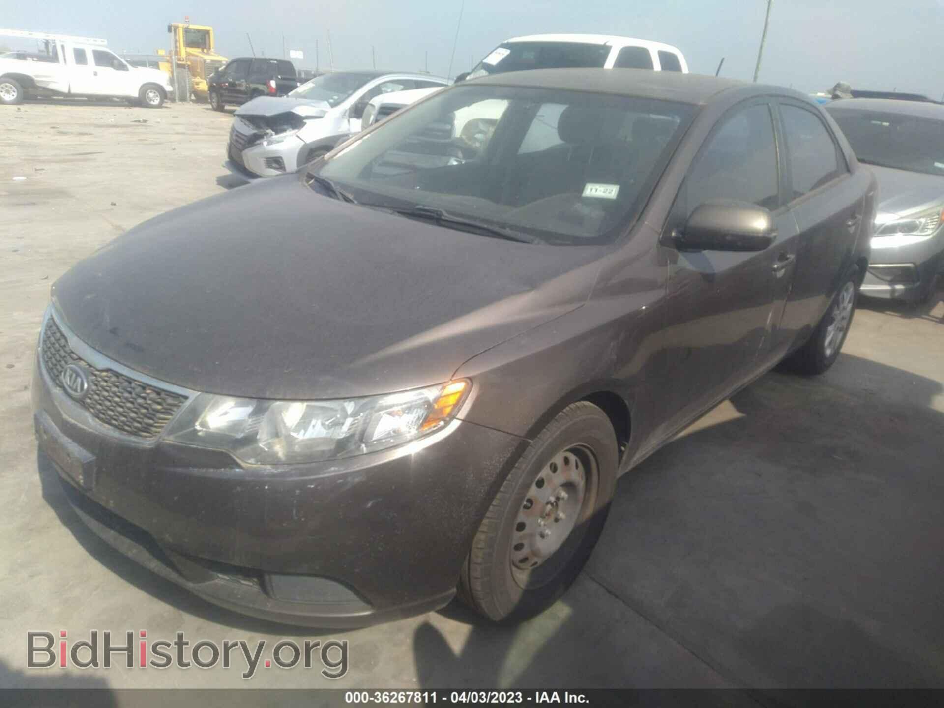 2013 KIA FORTE - VIN: KNAFU4A29D5688060 - Фото 2
