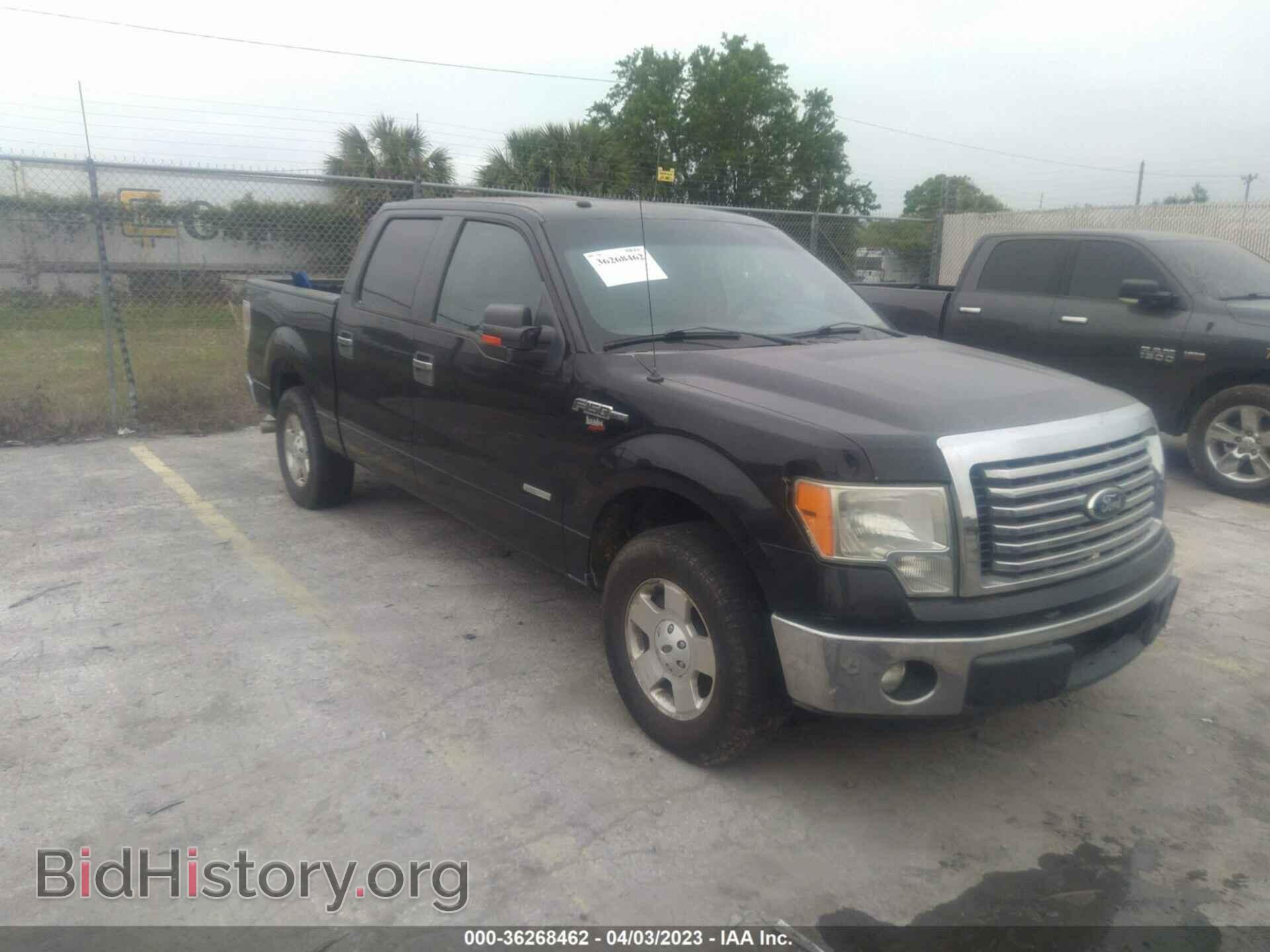 Фотография 1FTFW1CT6BFB42308 - FORD F-150 2011