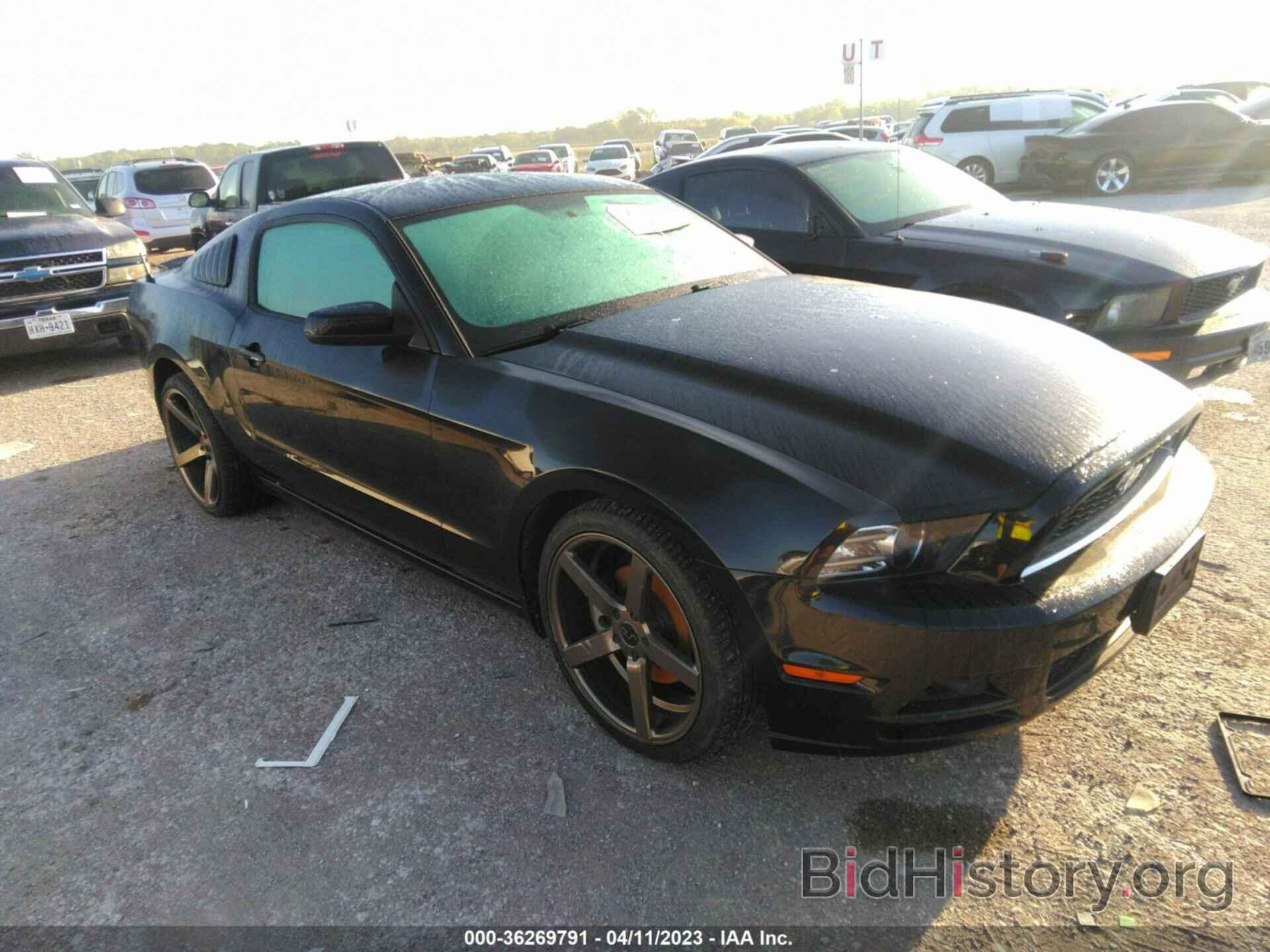 Photo 1ZVBP8AM1E5231209 - FORD MUSTANG 2014