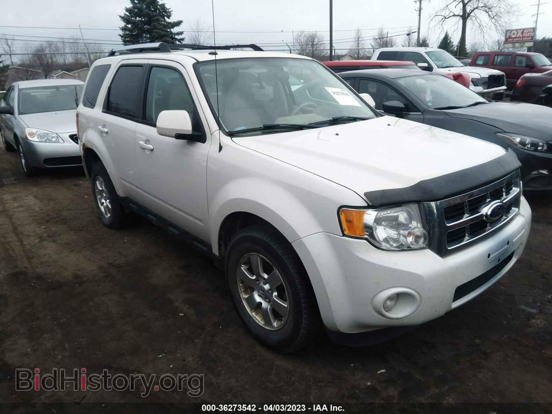 Фотография 1FMCU0E73BKB02497 - FORD ESCAPE 2011