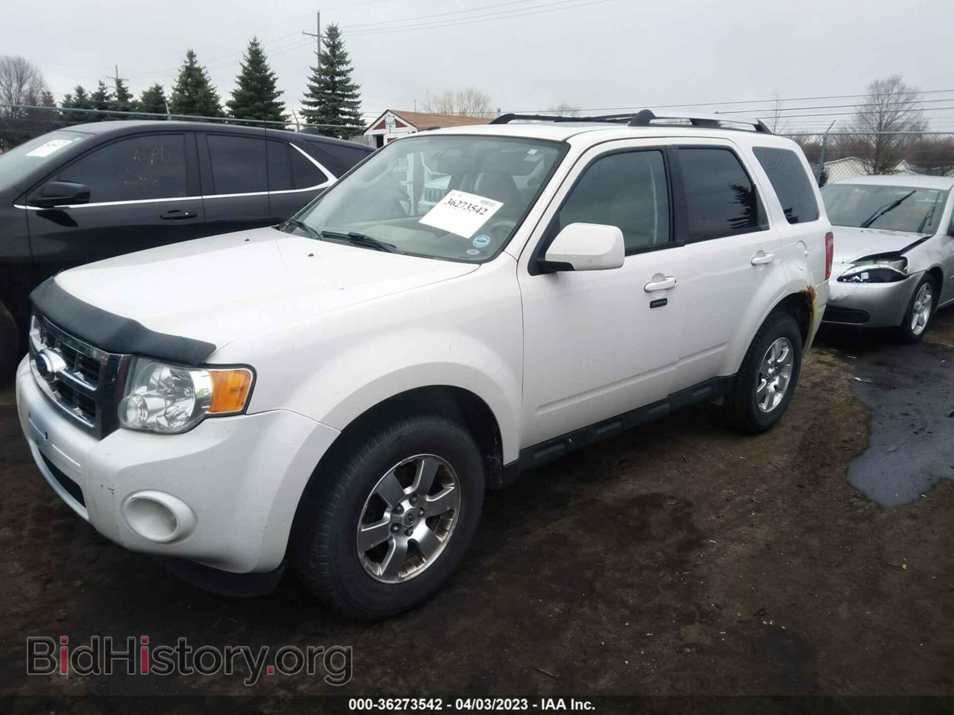 2011 FORD ESCAPE - VIN: 1FMCU0E73BKB02497 - Photo 2