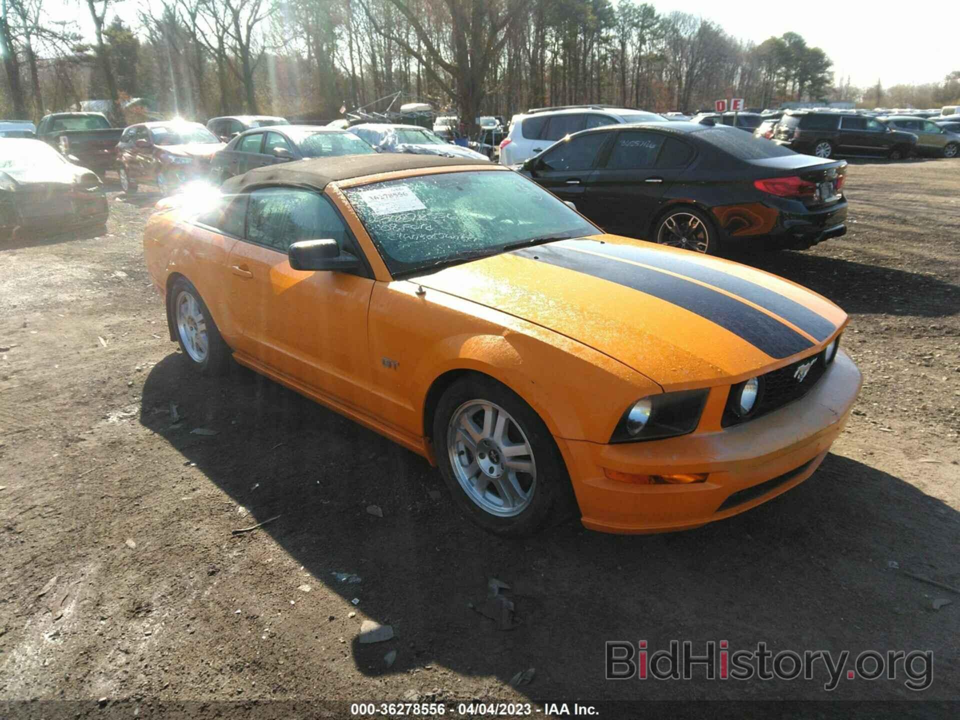 Photo 1ZVHT85H185170516 - FORD MUSTANG 2008