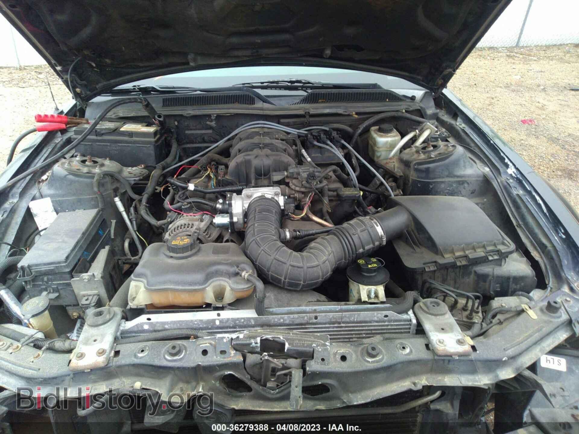 2006 FORD MUSTANG - VIN: 1ZVFT84N665185234 - Фото 10