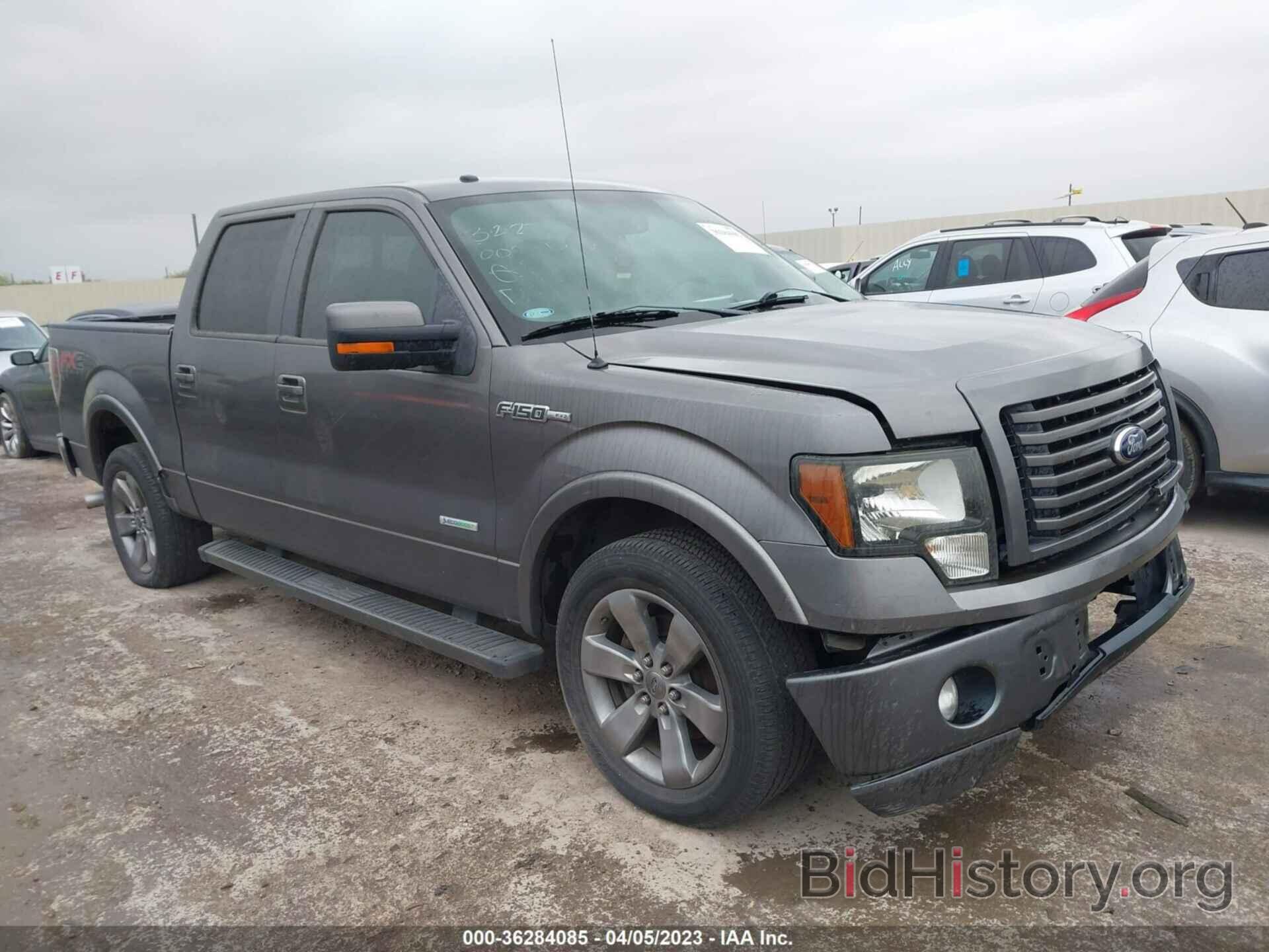 Photo 1FTFW1CT3CKD49182 - FORD F-150 2012