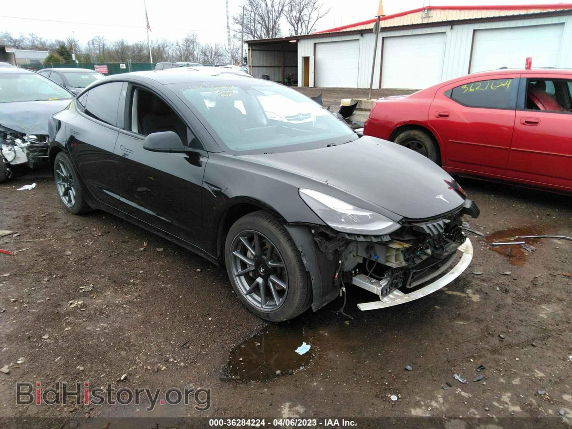 Photo 5YJ3E1EA6MF043402 - TESLA MODEL 3 2021