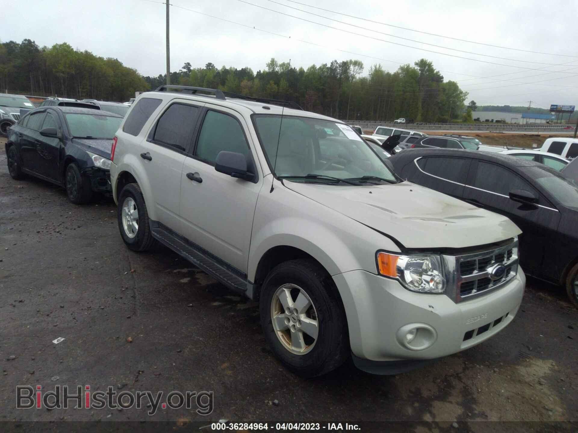 Photo 1FMCU03789KD07228 - FORD ESCAPE 2009