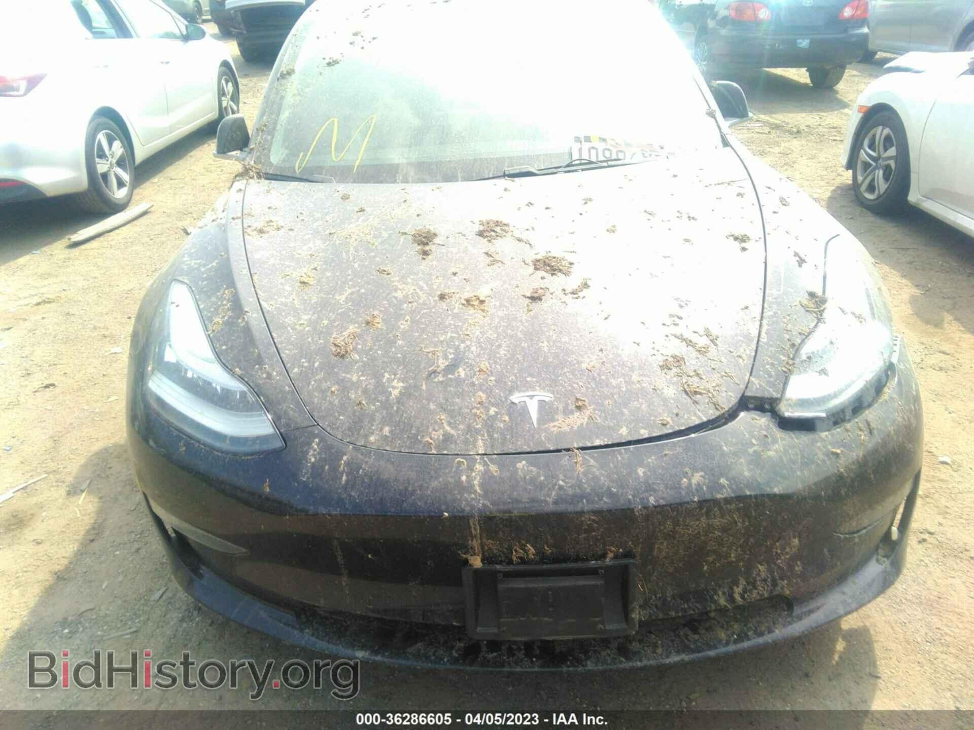 2019 TESLA MODEL 3 - VIN: 5YJ3E1EB7KF453356 - Фото 10