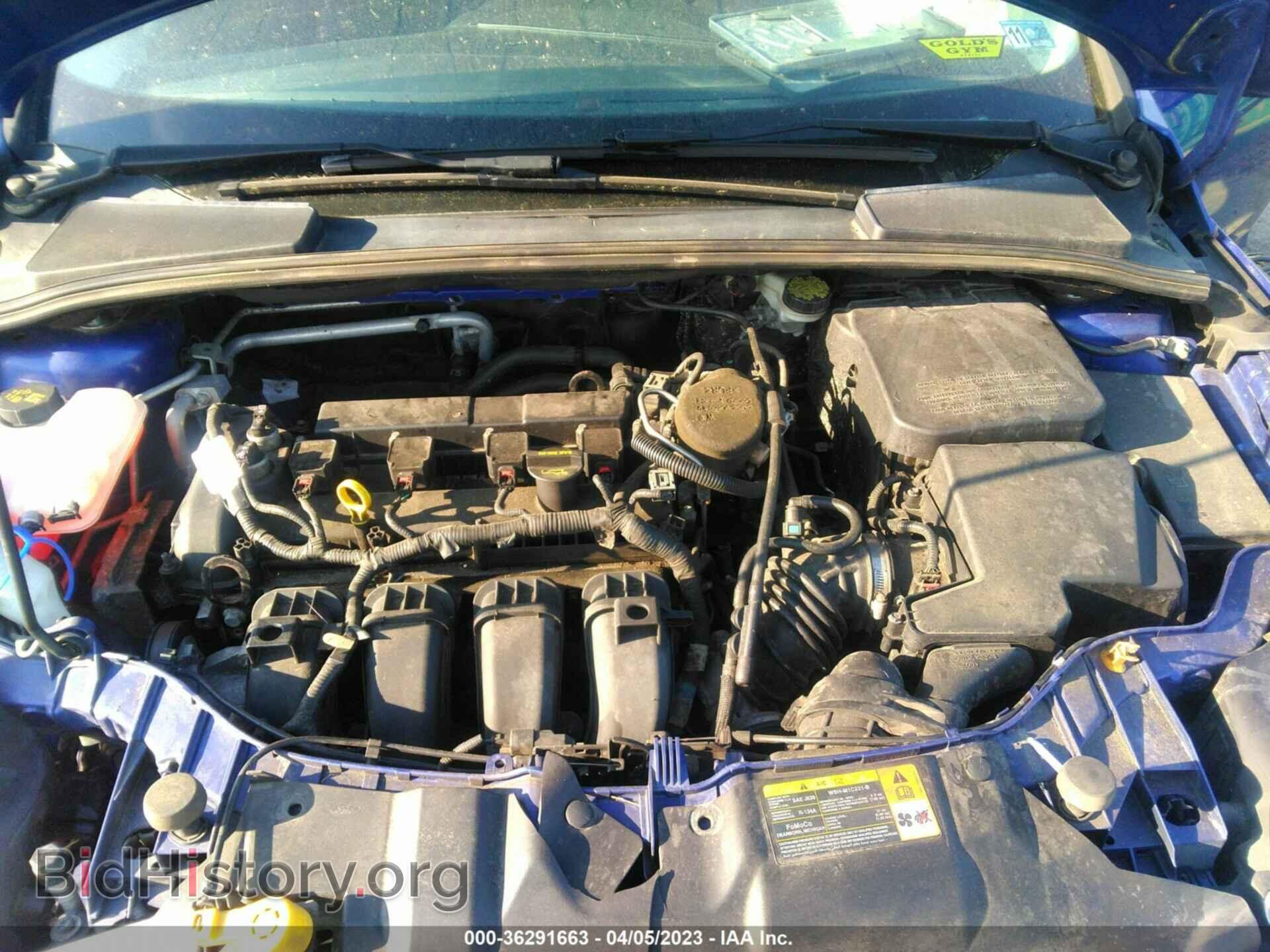 2013 FORD FOCUS - VIN: 1FADP3N23DL136514 - Фото 10