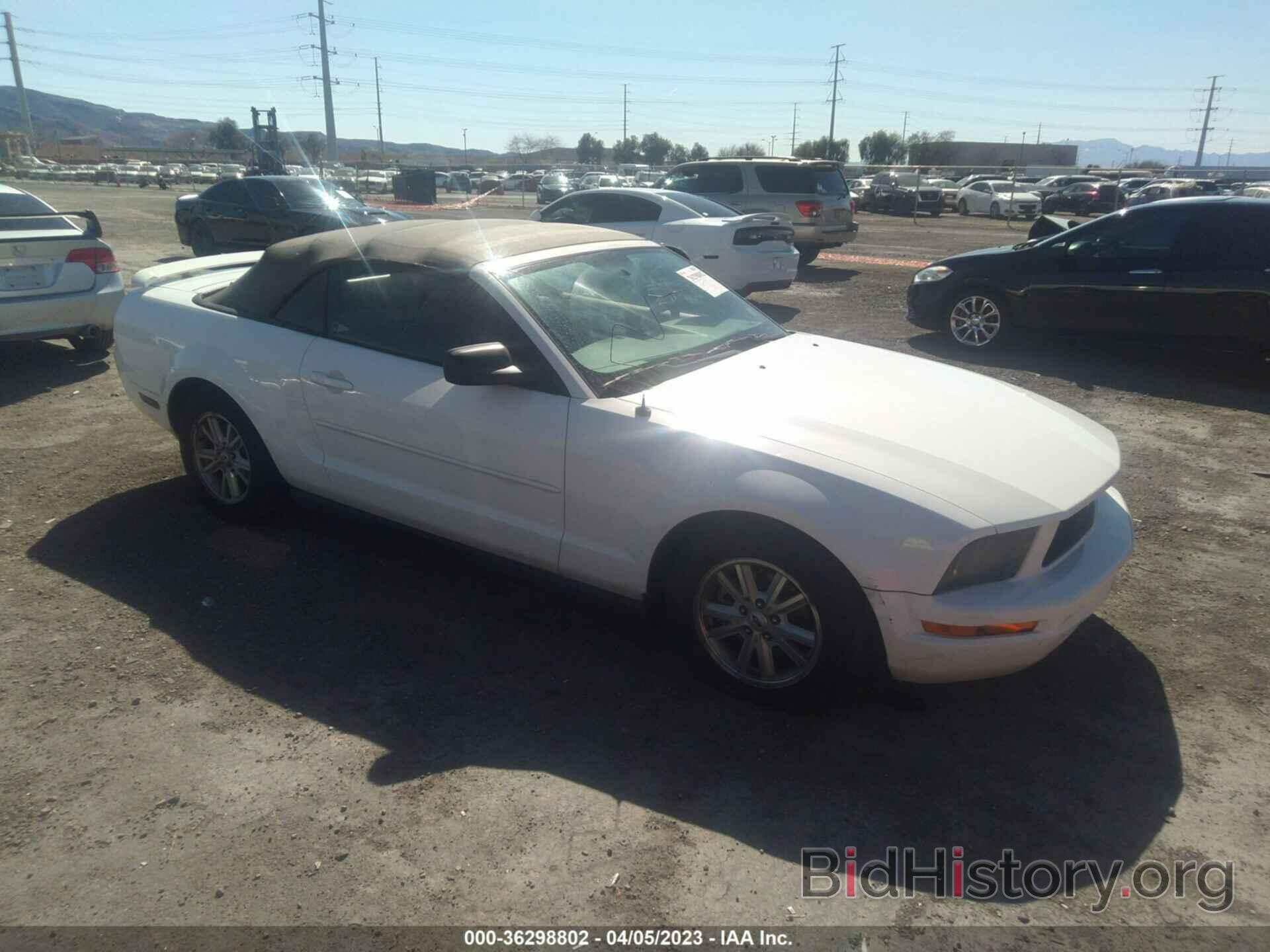 Photo 1ZVFT84N865222297 - FORD MUSTANG 2006